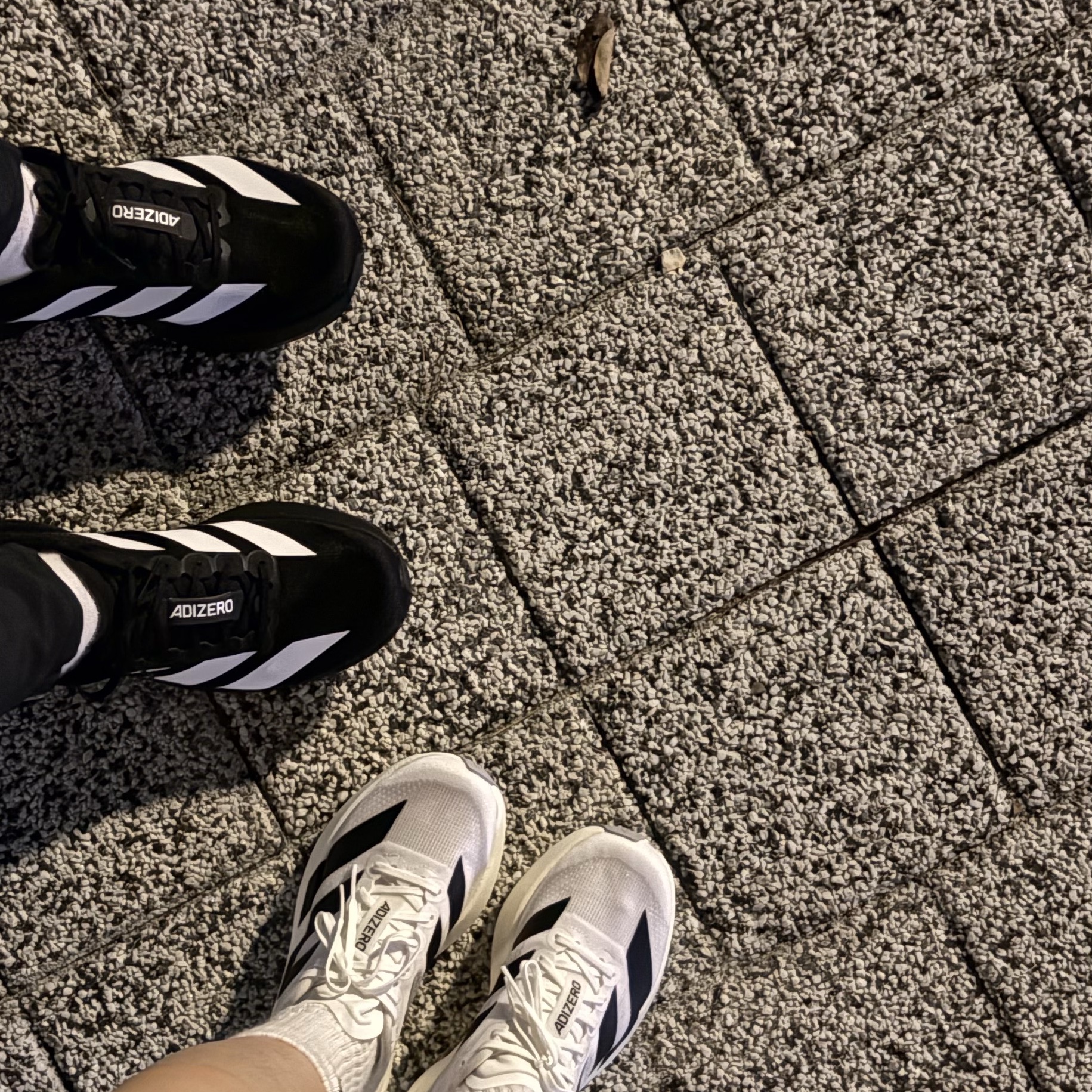 Adidas Adizero EVO SL Core Black Cloud White, (W) Adidas Adizero EVO SL Cloud White Core Black 착용 스타일