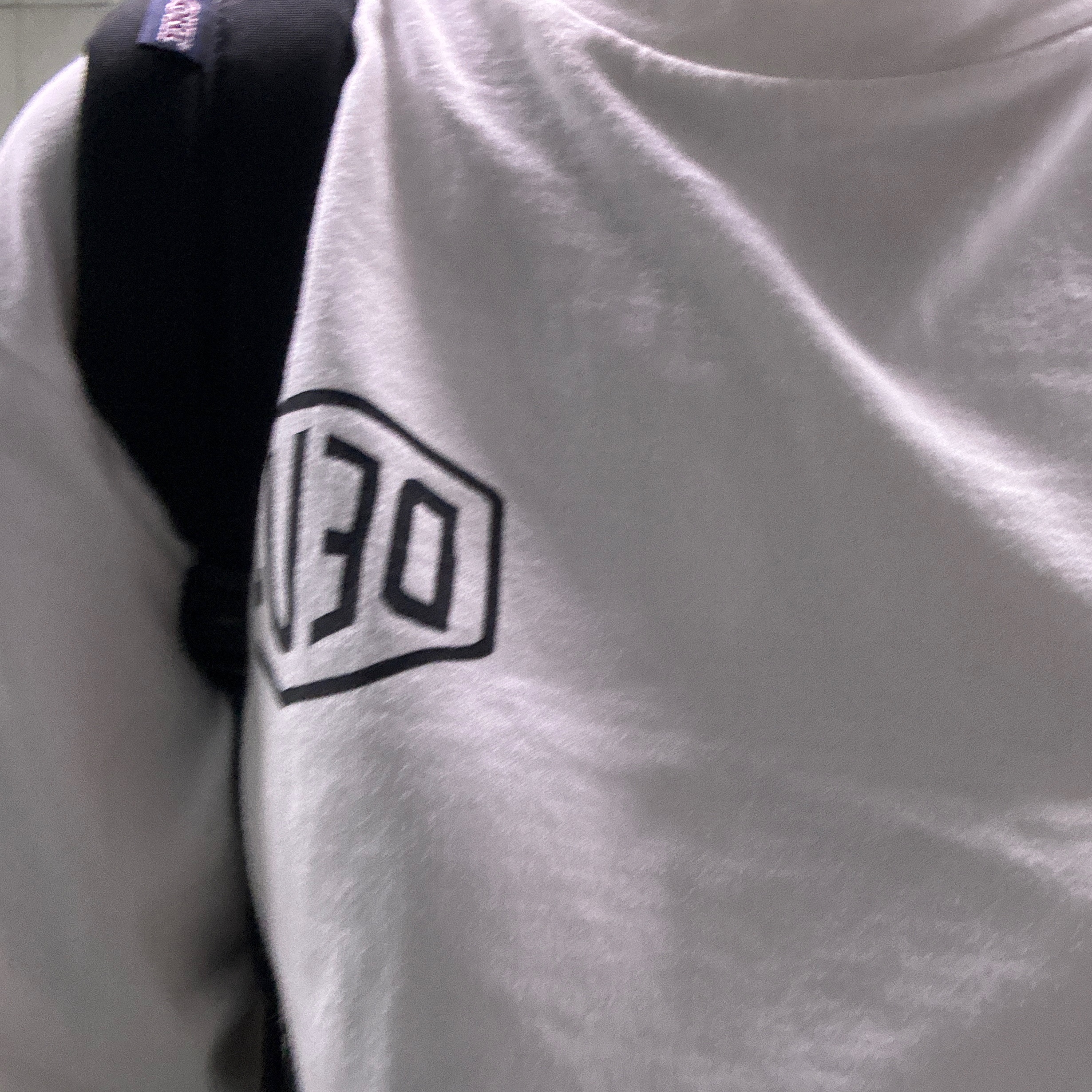 Deus Ex Machina Seoul College Address Long Sleeve T-Shirt White, Jansport Superbreak Backpack Black 착용 스타일