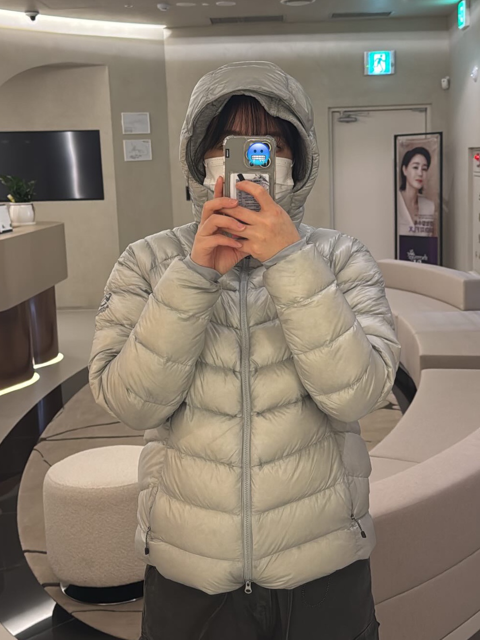 (W) The North Face Summit Mattehorn RDS Down Jacket Silver 착용 스타일