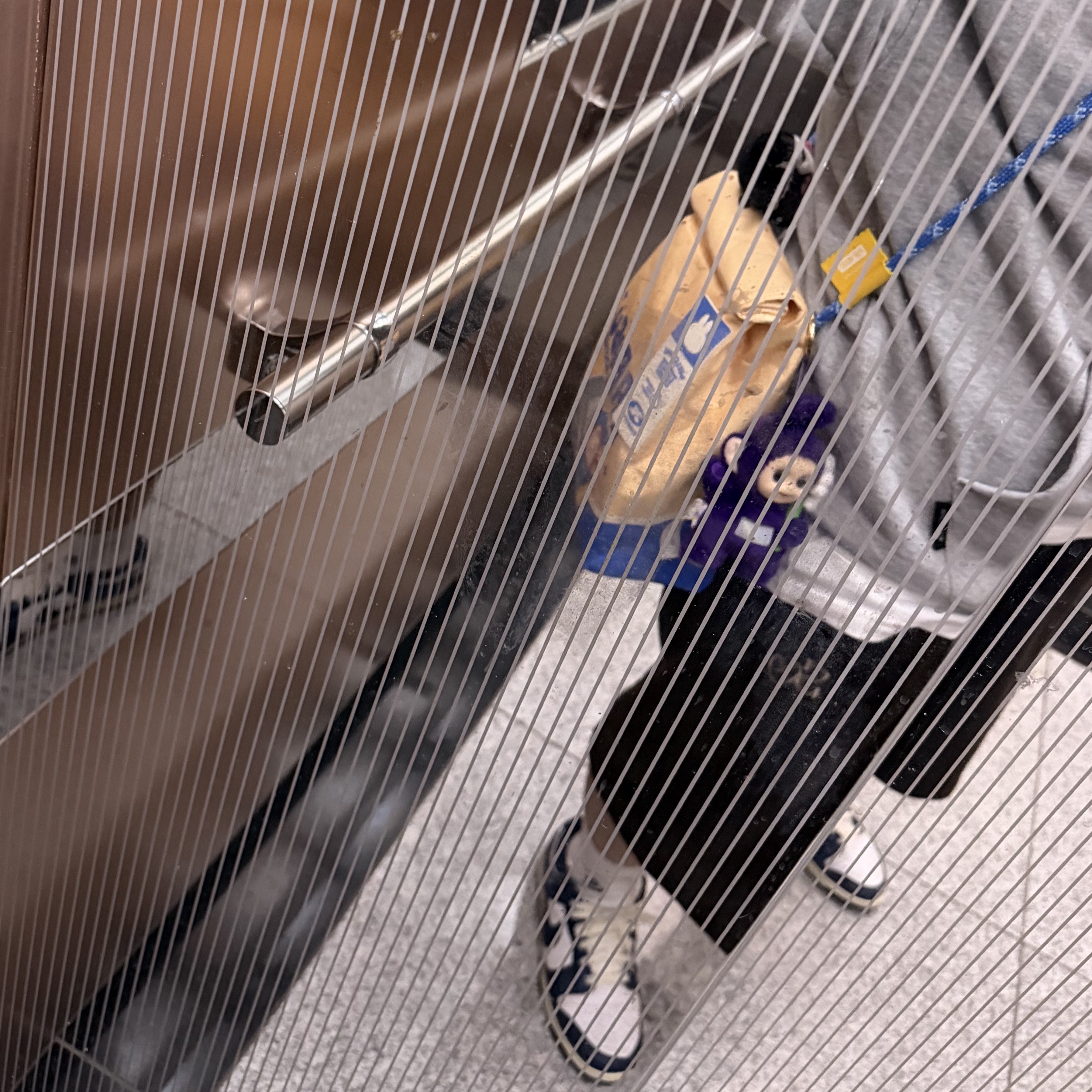 Pop Mart Labubu The Monsters Wacky Mart Series Messenger Bag, Pop Mart Teletubbies Say Hello Series Figures Sealed Case Tinky Winky's Chill Flower (Opened Case) 착용 스타일