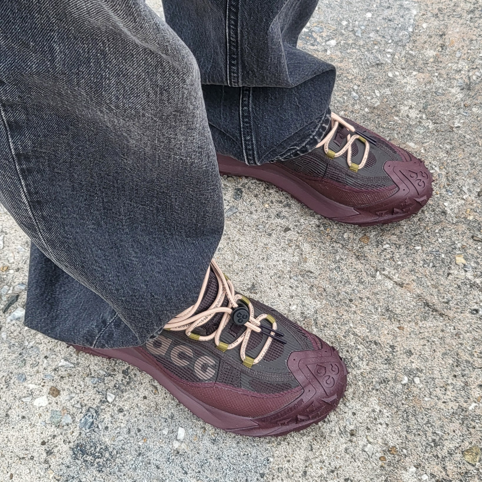 Nike ACG Mountain Fly 2 Low Gore-Tex Burgundy Crush and Velvet Brown 착용 스타일 - 1