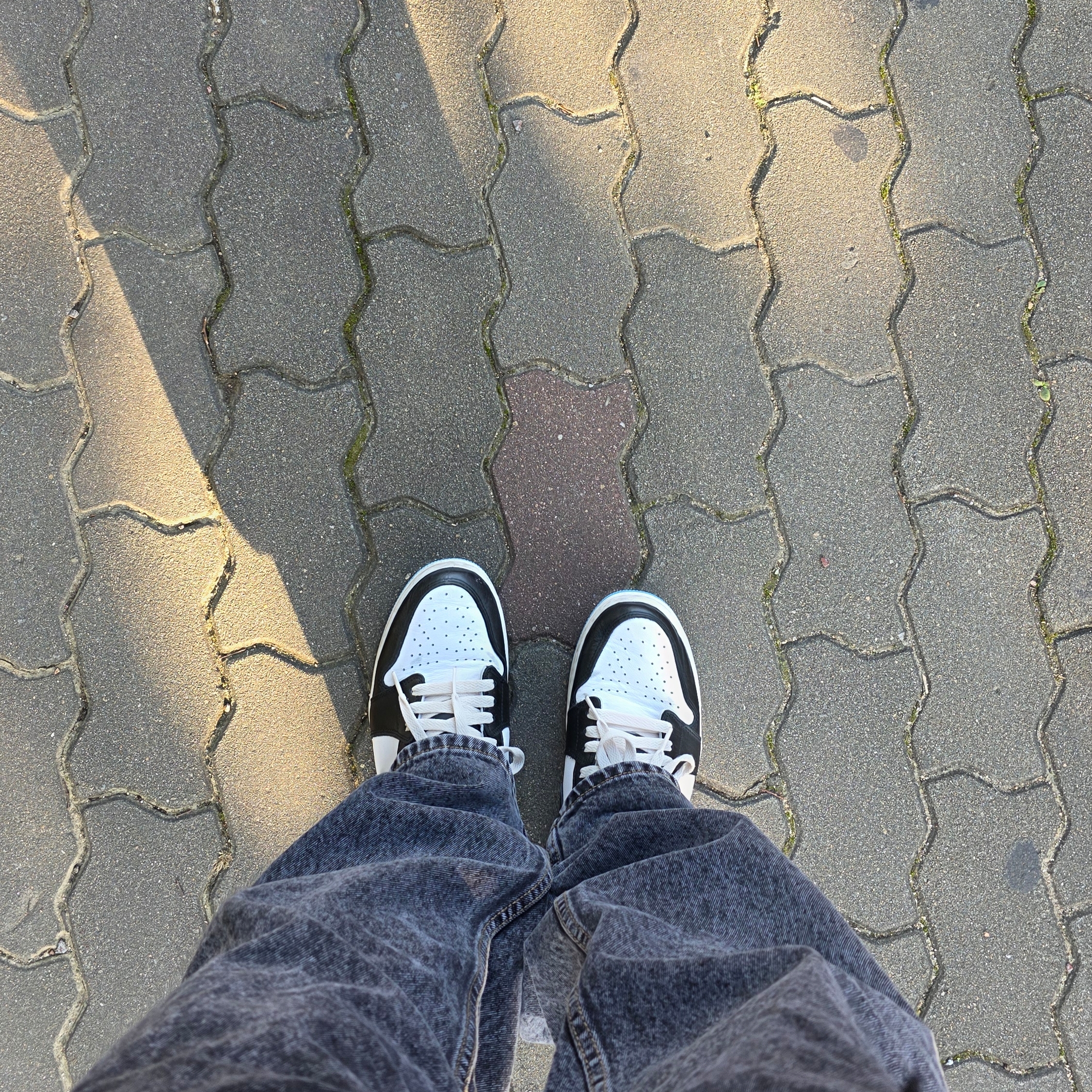 Jordan 1 Retro Low OG Black and Dark Powder Blue 착용 스타일