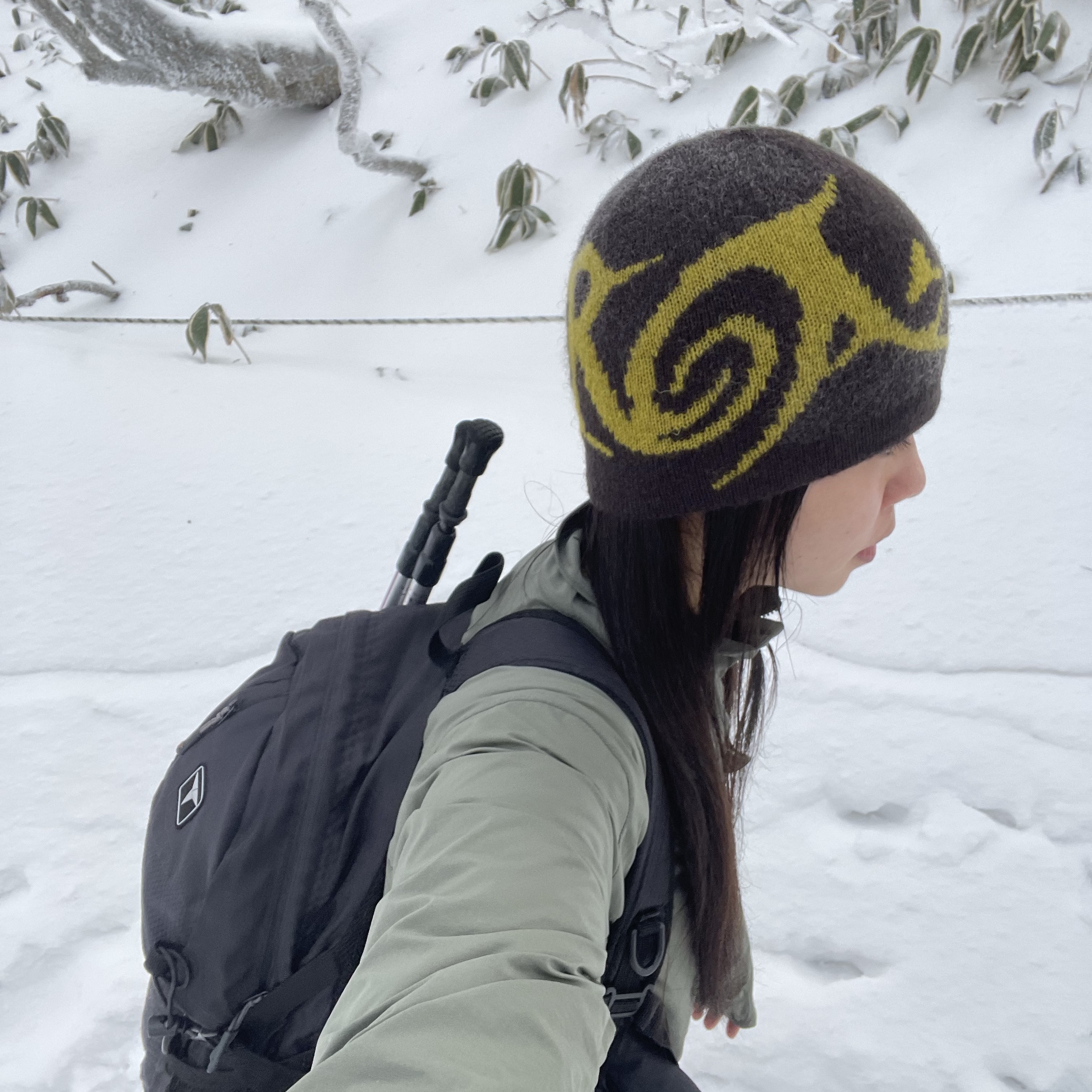 ROA Graphic Beanie Brown Yellow - 24FW, Arc'teryx Squamish Jacket Forage 착용 스타일