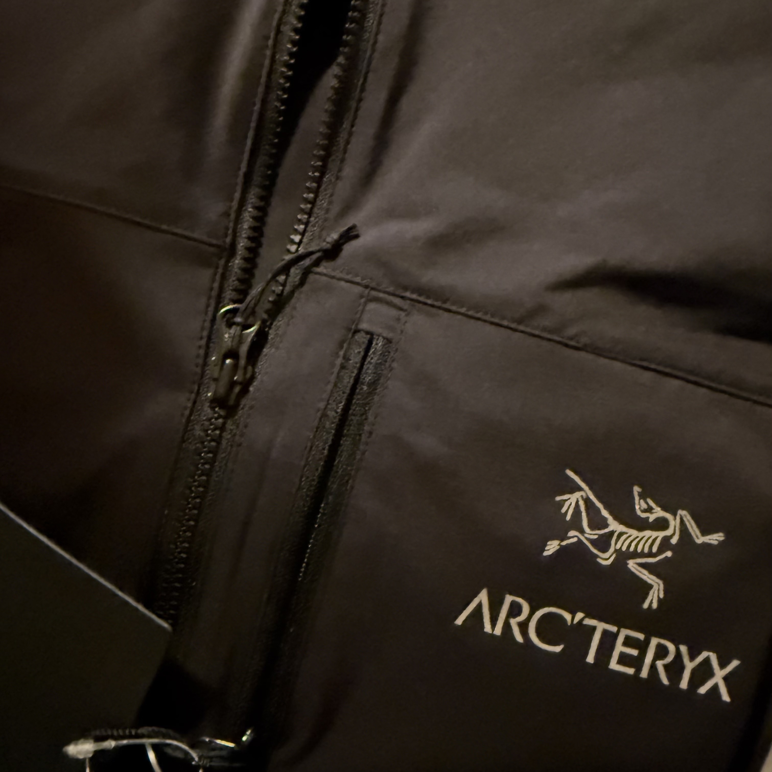 Arc'teryx Squamish Hoody Black 착용 스타일 - 1