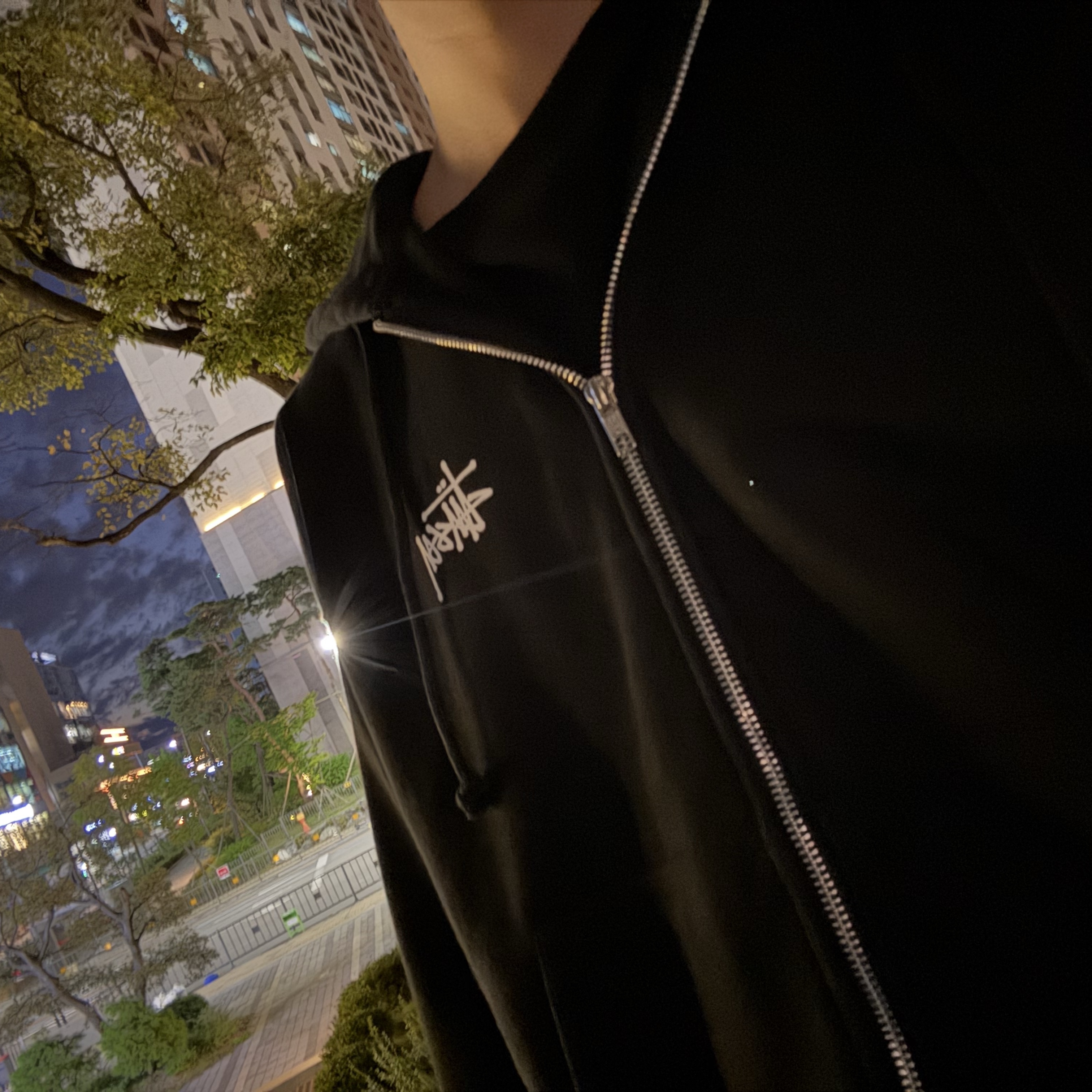 Stussy Basic Zip Hoodie Black 착용 스타일 - 2