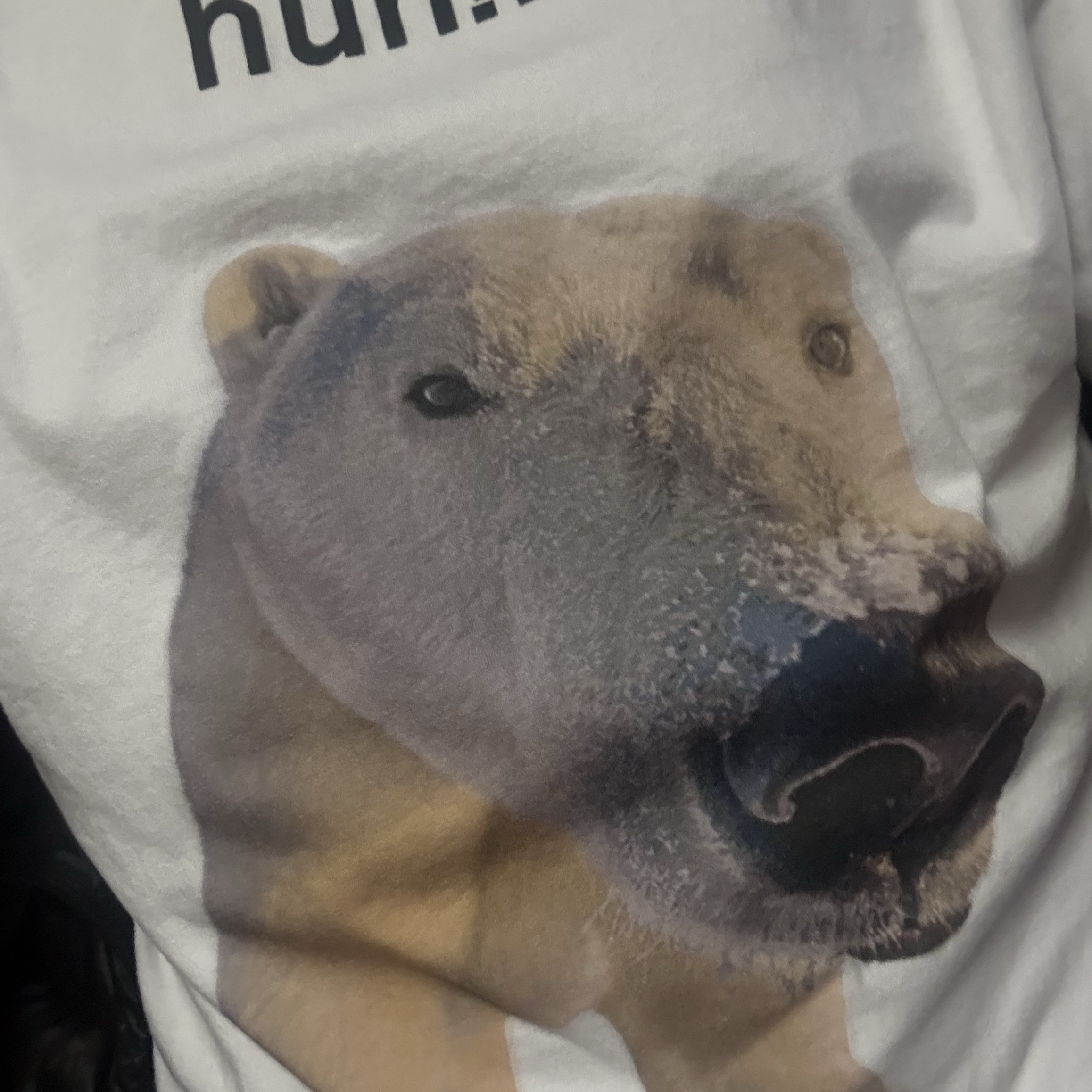 Suade Huh Tee White 착용 스타일