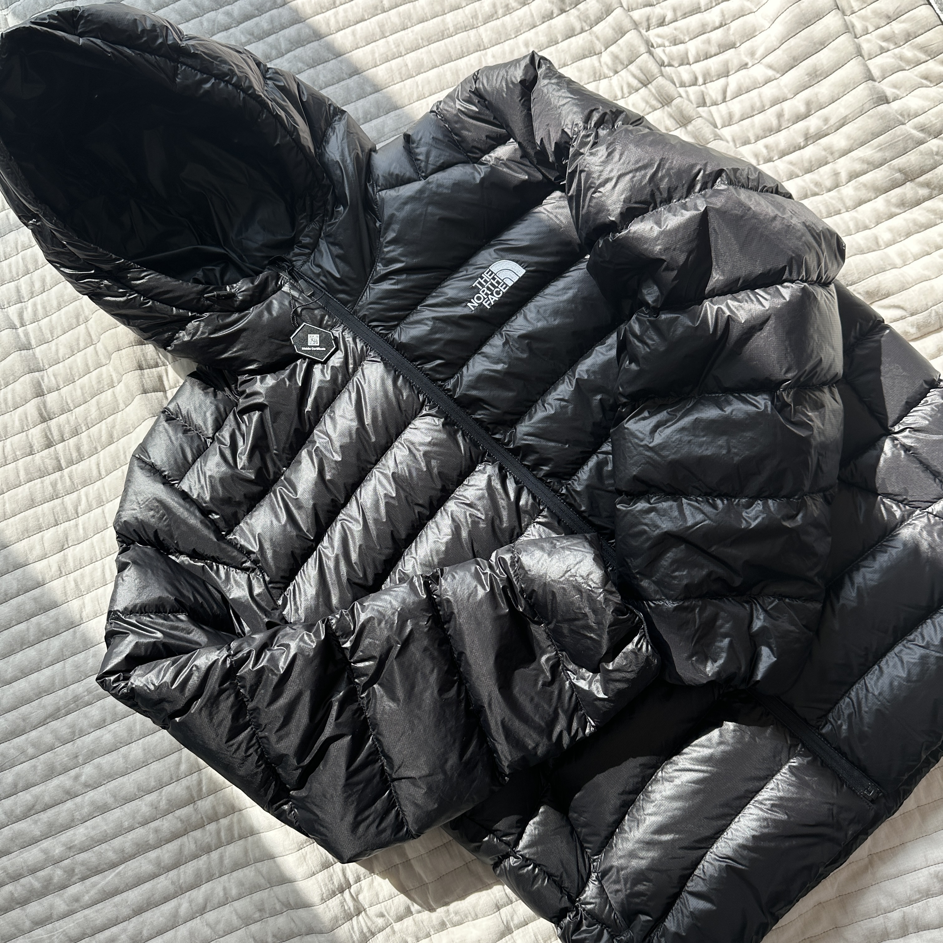 The North Face Matier EX RDS Down Hoodie Black 착용 스타일 - 1