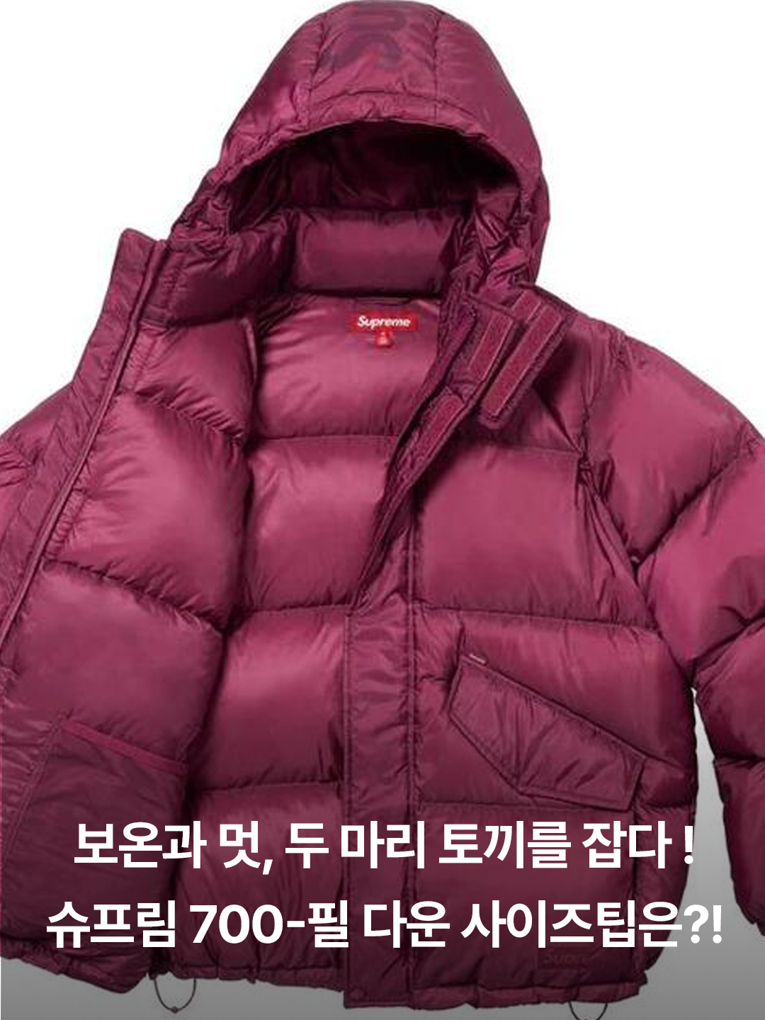 Supreme 700-Fill Down Lightweight Puffer Jacket Black - 24FW, Supreme 700-Fill Down Lightweight Puffer Jacket Light Blue - 24FW 착용 스타일 - 3