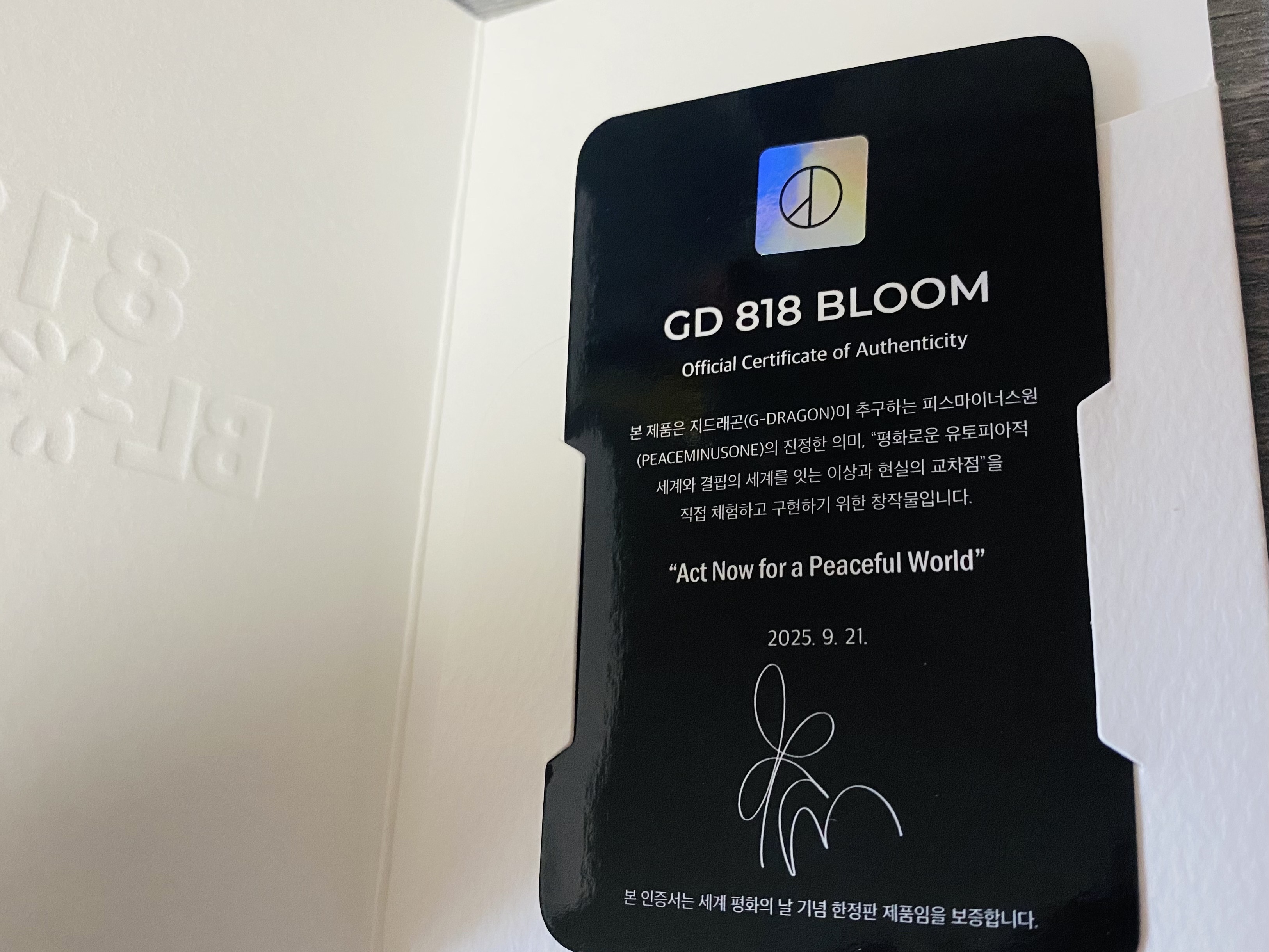 Oxford x Peaceminusone 818 Bloom 착용 스타일 - 5
