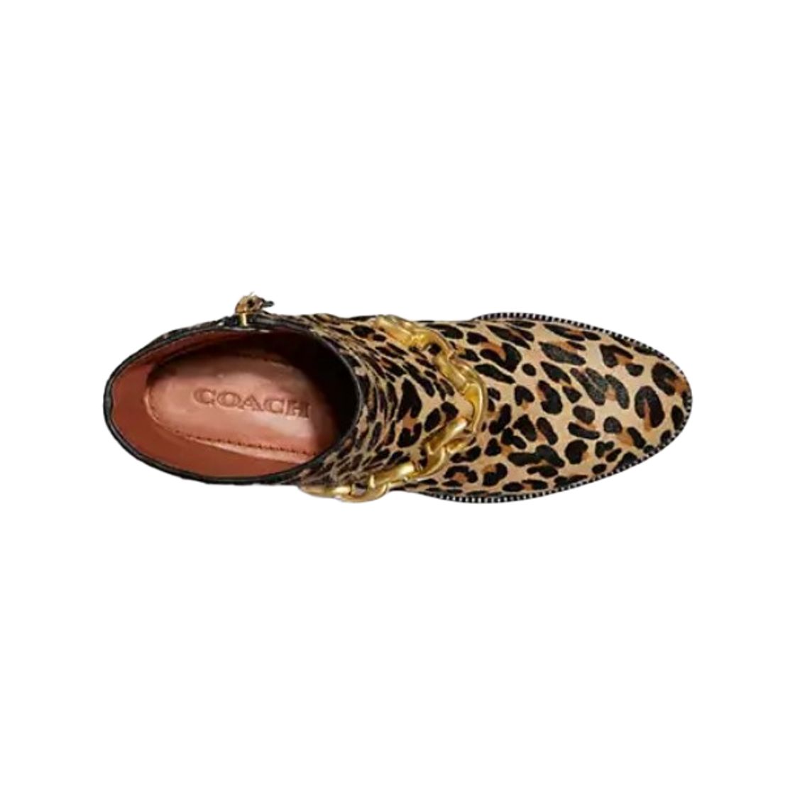 (W) 코치 레오파드 프린트 알렌 부티 블랙 베이지((W) Coach Allen Bootie with Leopard Print Black Beige) - 2