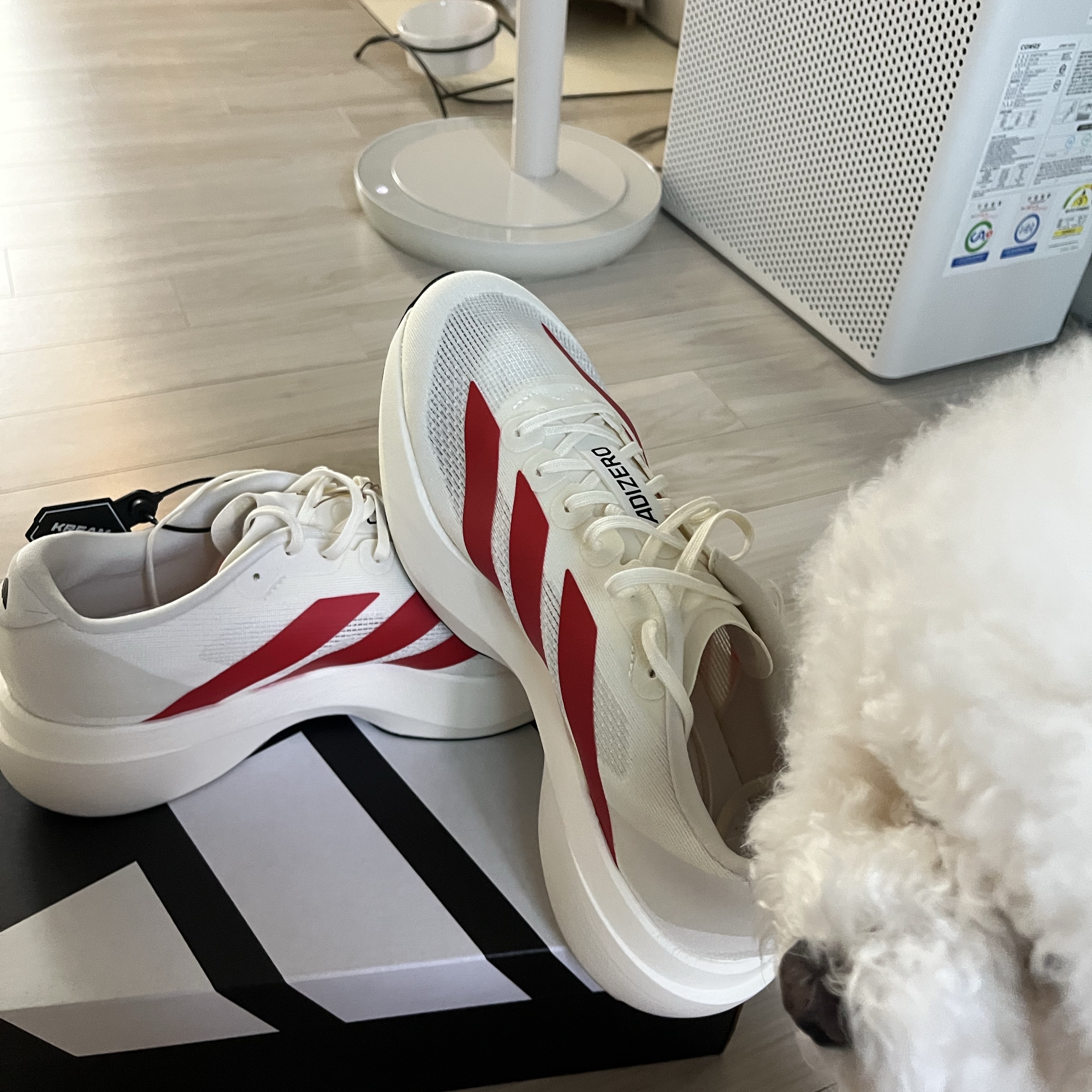 Adidas Adizero EVO SL Off White Better Scarlet 착용 스타일