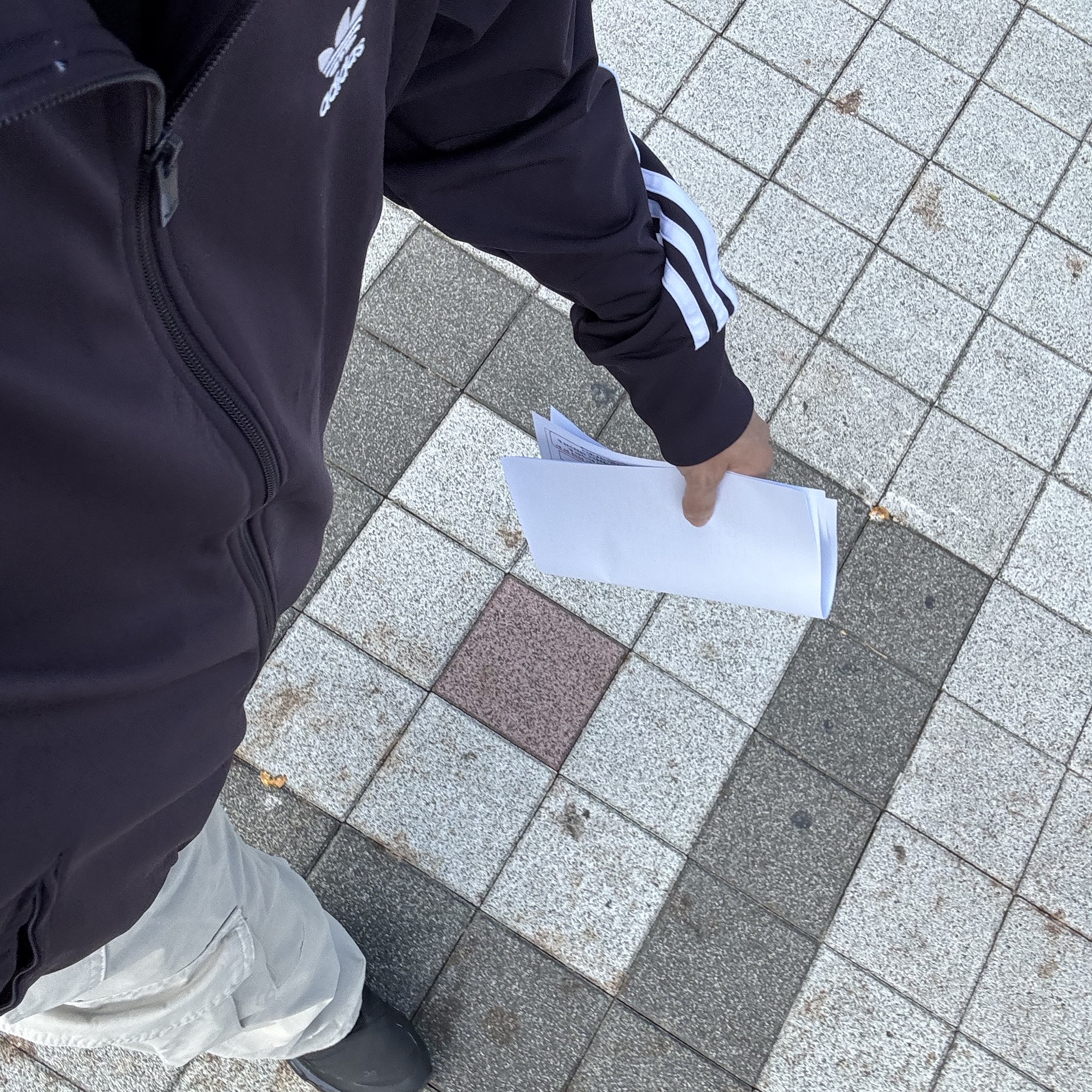 Adidas Adicolor Classic Firebird Track Top Aurora Black - KR Sizing, [KREAM 단독] Flavorism VTG Washed Cargo Pants Washed beige 착용 스타일