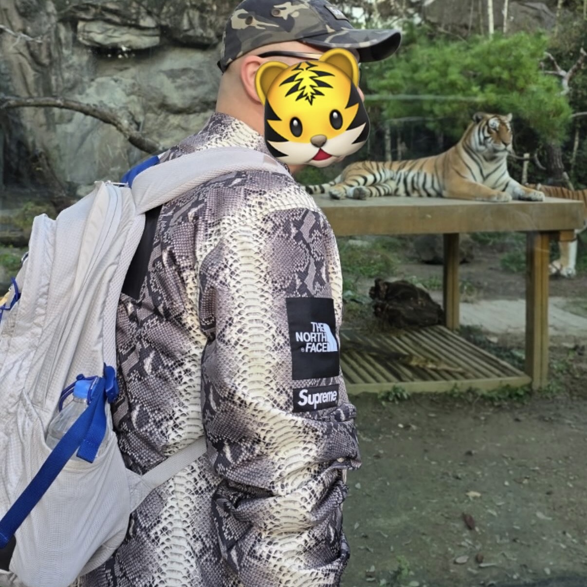 Supreme x The North Face Snakeskin Taped Seam Coaches Jacket Black - 18SS, Supreme Backpack Silver - 22SS 착용 스타일