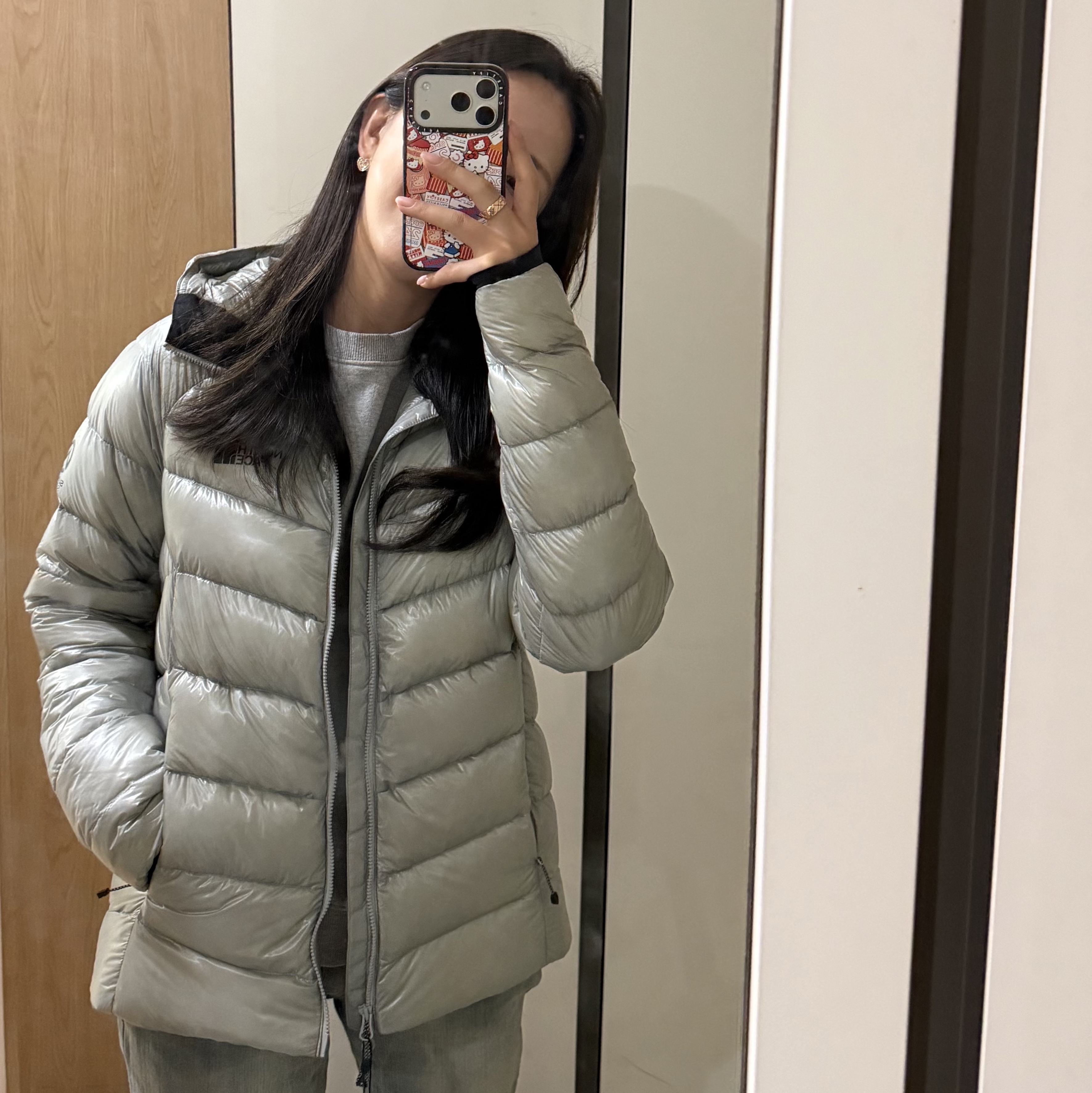 The North Face Summit Mattehorn RDS Down Jacket Light Gray 착용 스타일 - 1