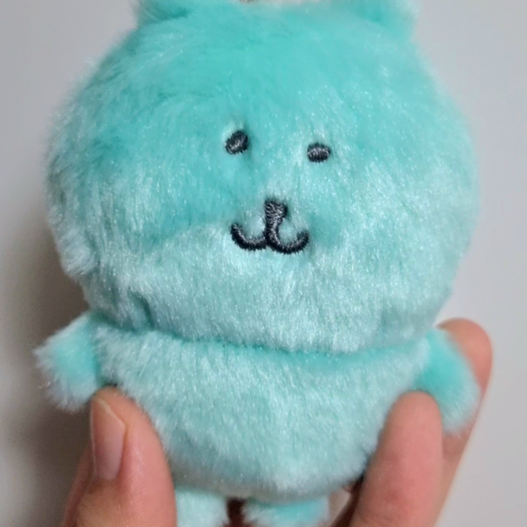Nagano Characters Color Mascot Keyring Bear Mint Green 착용 스타일