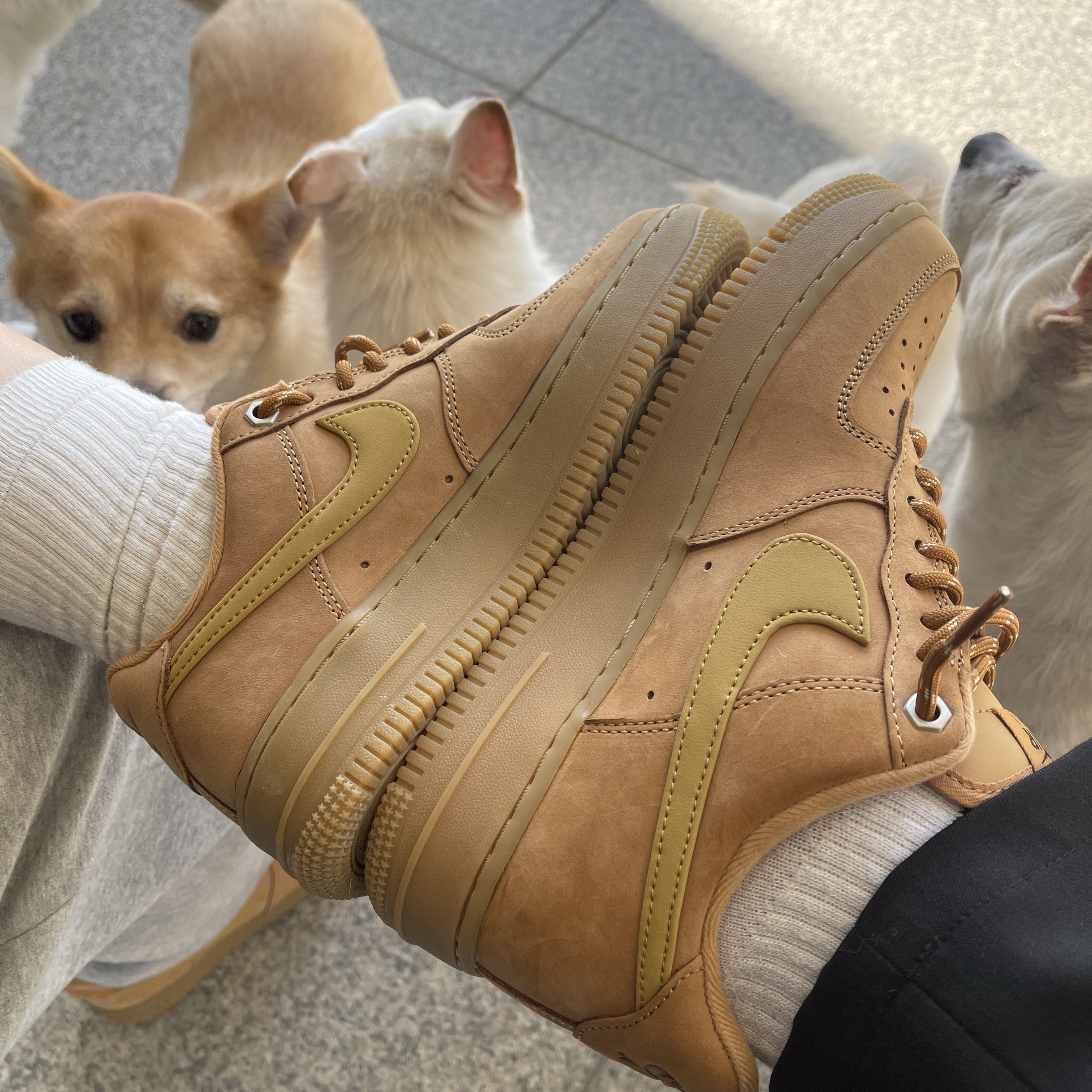 (W) Nike Air Force 1 '07 WB Flax Wheat 착용 스타일 - 1