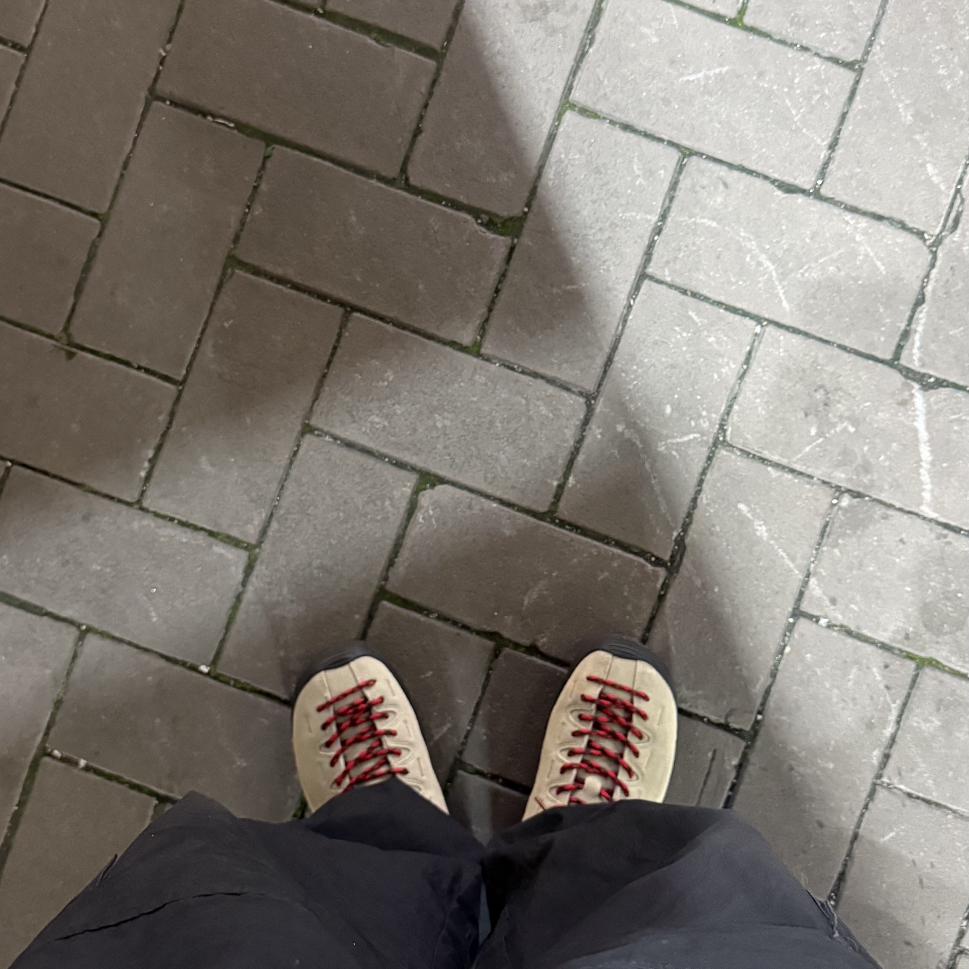 Keen Jasper Suede Sneakers Silver Mink 착용 스타일
