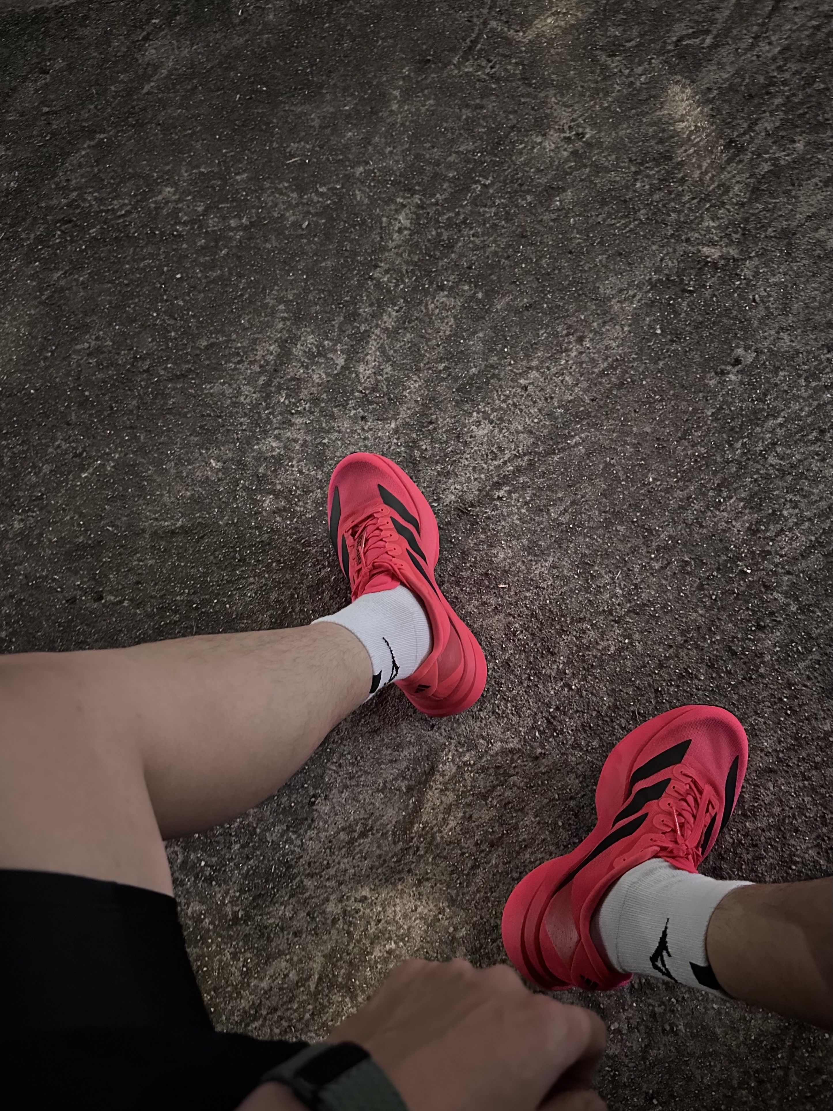 Adidas Adizero Evo SL Lucid Red Core Black 착용 스타일 - 2