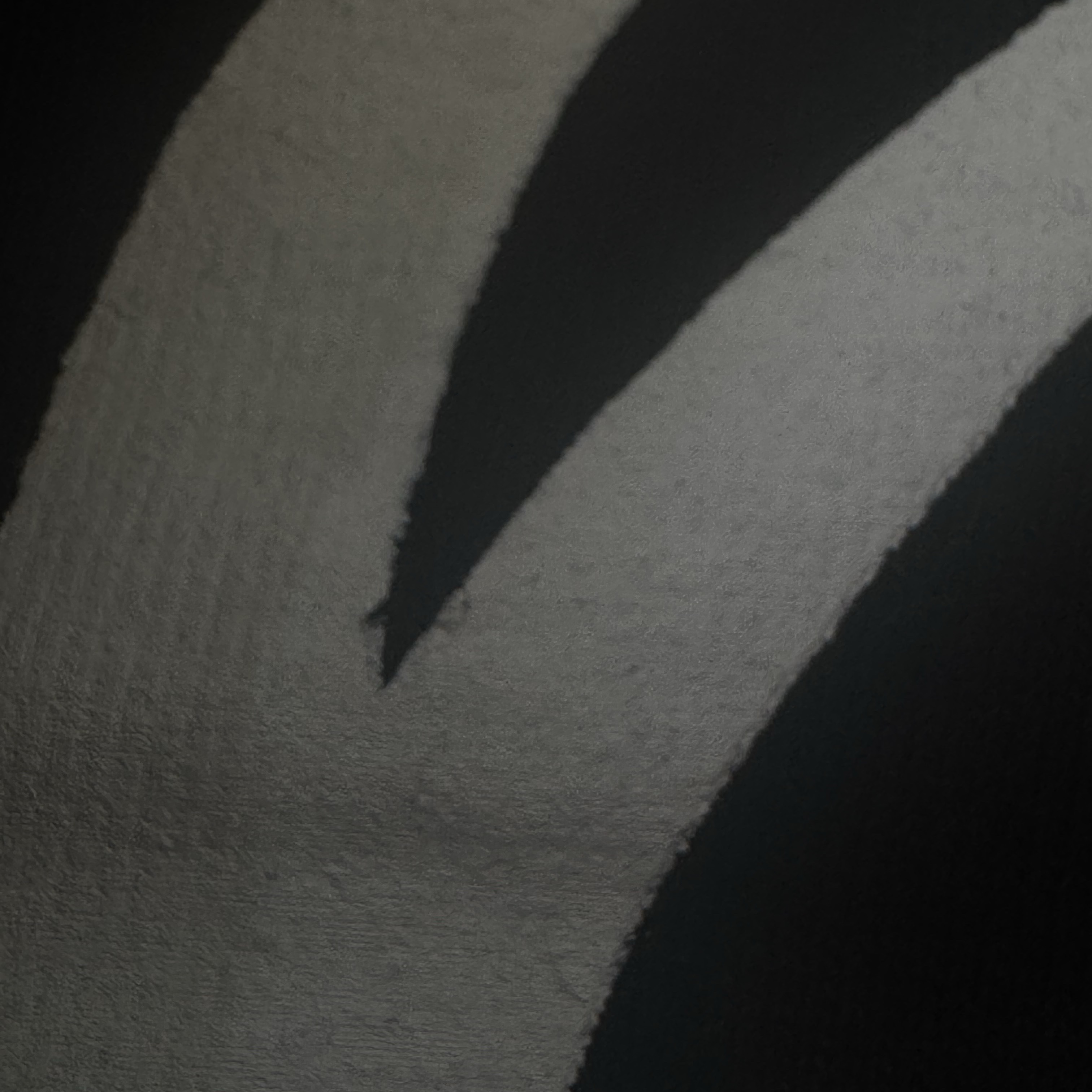 Stussy World Tour T-Shirt Black 2024,2025 착용 스타일 - 2