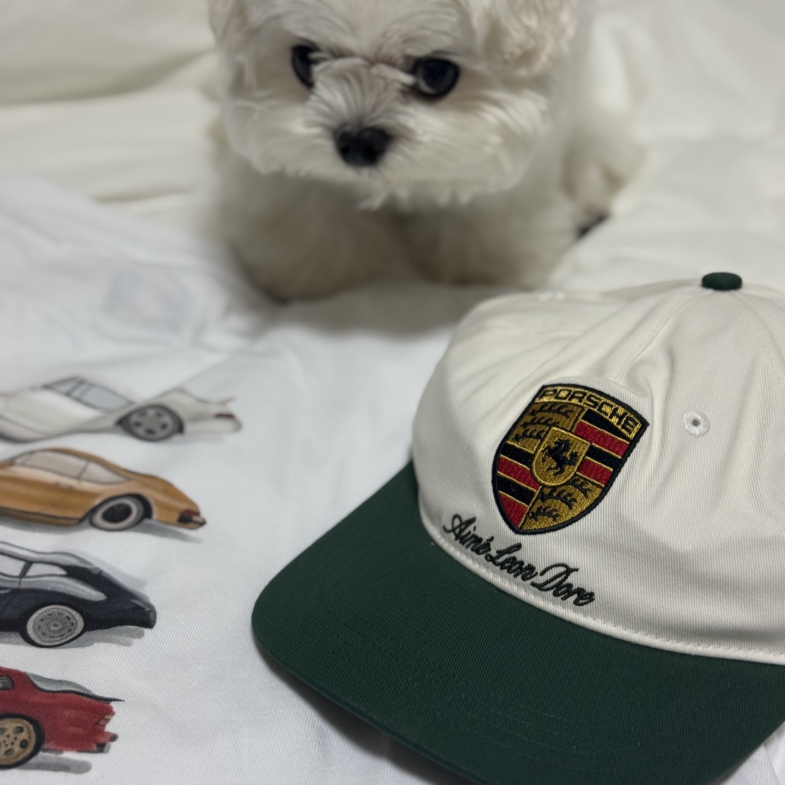 Aime Leon Dore x Porsche Colorblock Logo Hat Pristine Multi, Aime Leon Dore x Porsche Fleet Tee White 착용 스타일
