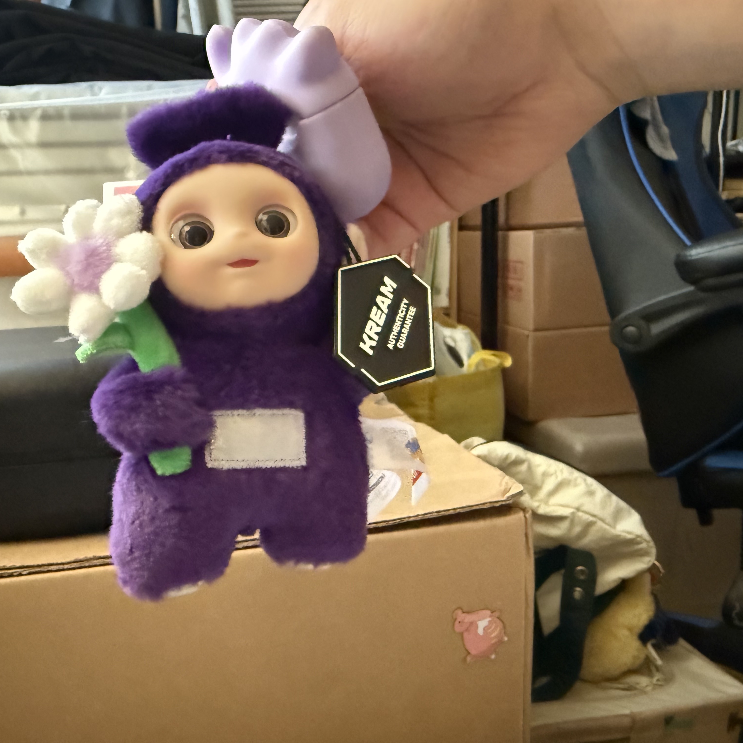 Pop Mart Teletubbies Say Hello Series Figures Sealed Case Tinky Winky's Chill Flower (Opened Case) 착용 스타일