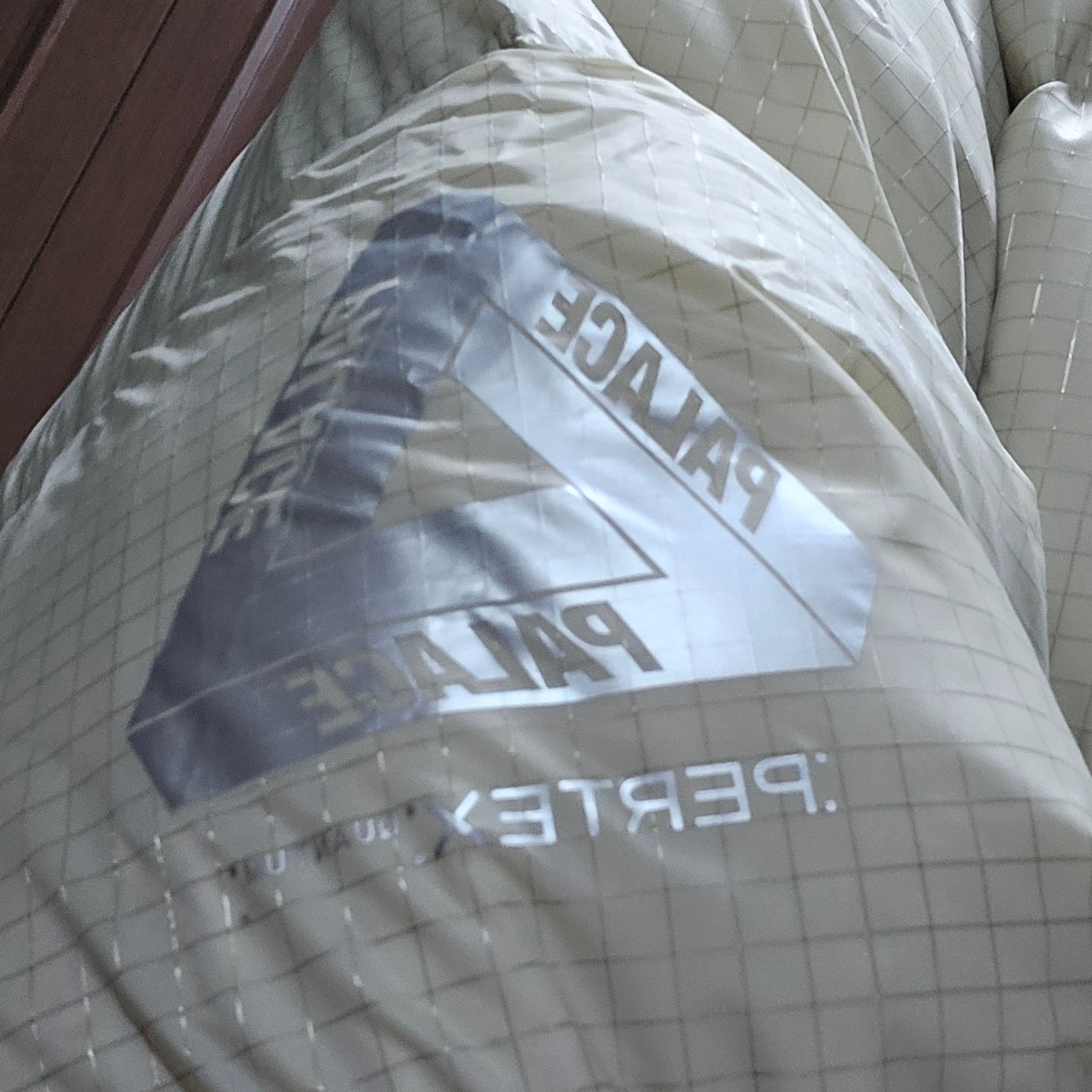 Palace Pertex Quantum RS Puffa Grey - 25FW 착용 스타일 - 3