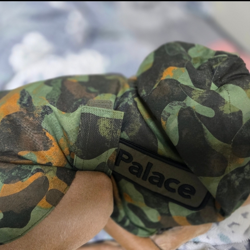 Palace x Barbour Dog Coat Kelp Forest Camo - 25FW 착용 스타일
