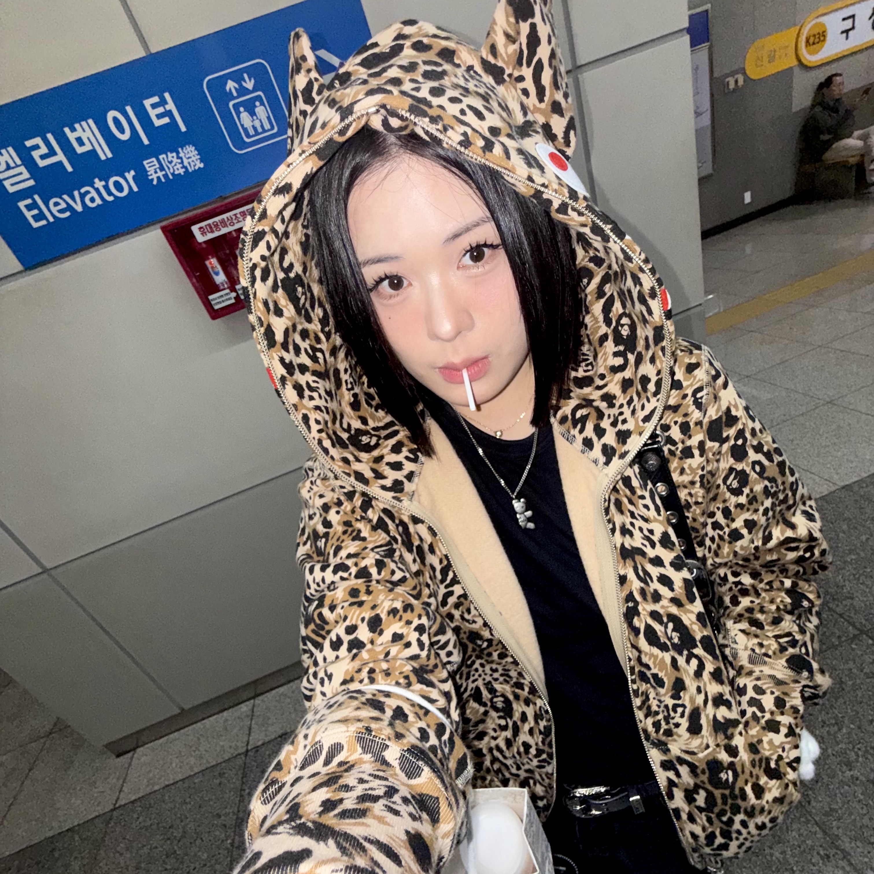 (W) BAPE Wild Leopard Pattern Milo Shark Full Zip Hoodie Beige, Supreme x Y's by Yohji Yamamoto Skull Beanie Black - 25FW 착용 스타일 - 1