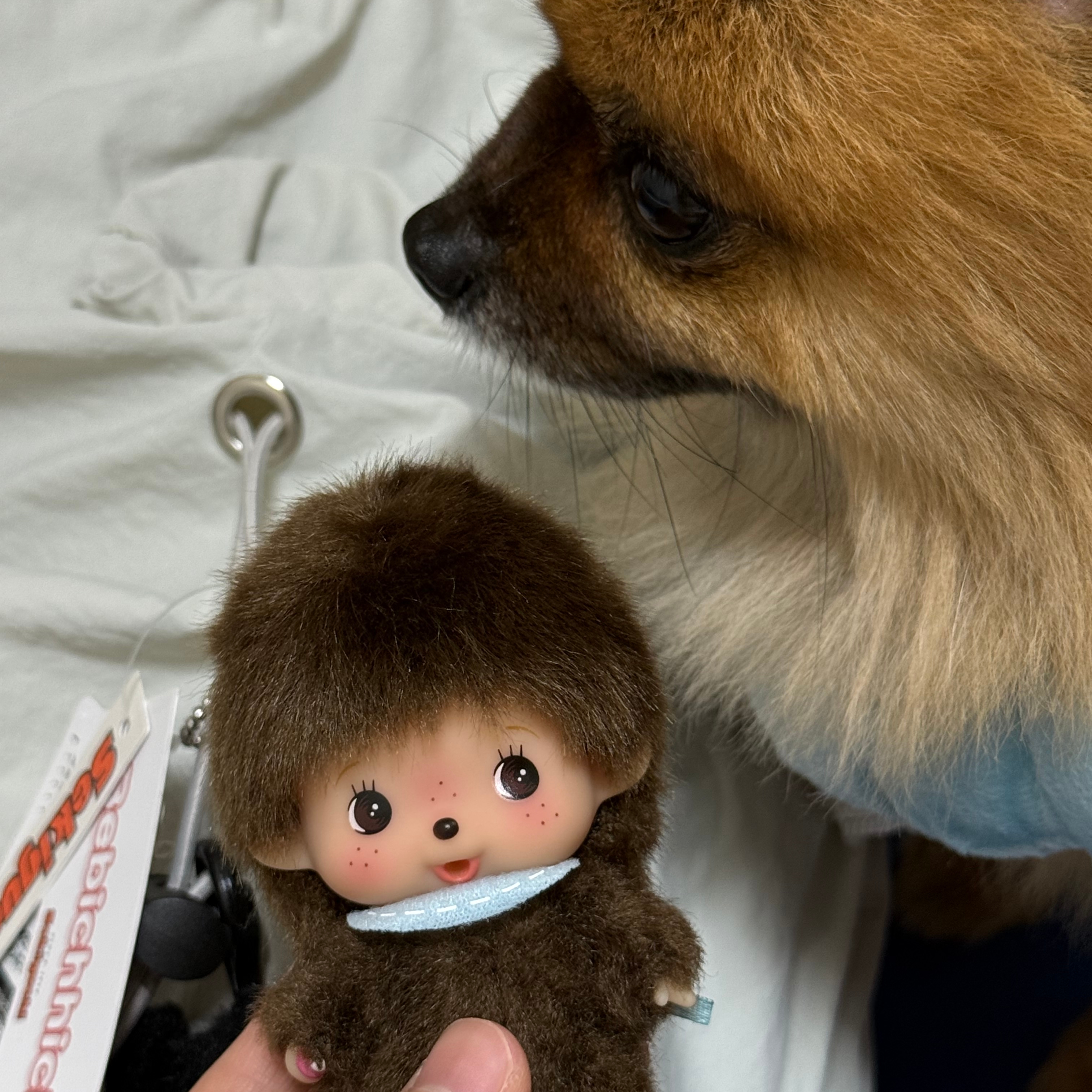 Monchhichi Big Head Bebichhichi SS Keychain Boy 착용 스타일 - 2