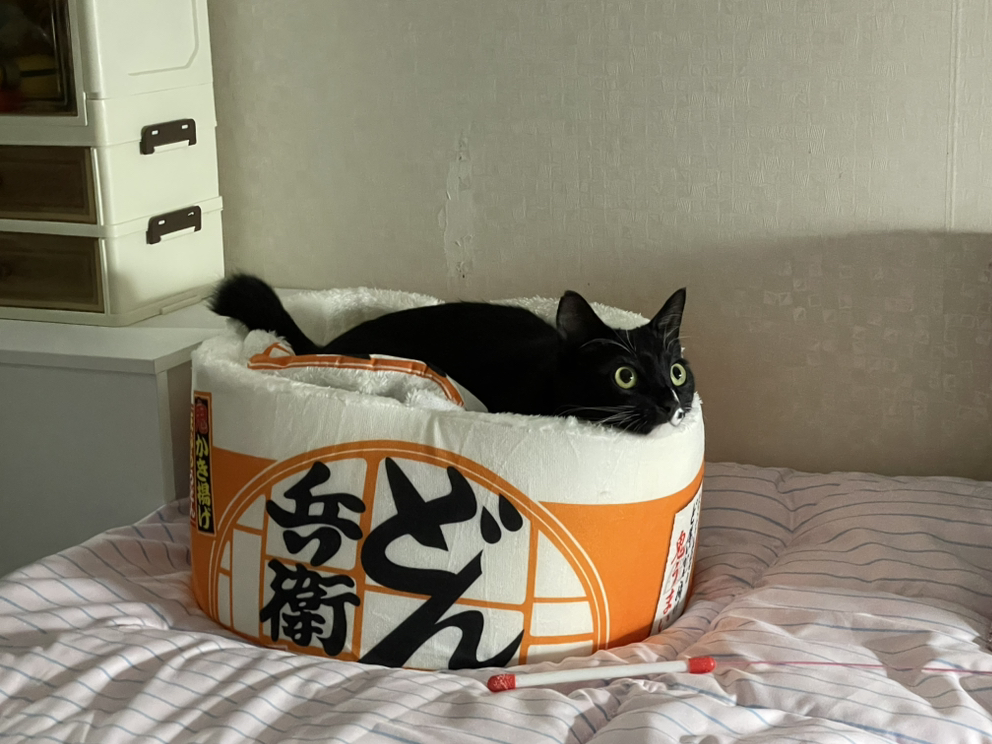 관심 유저 프로필 이미지