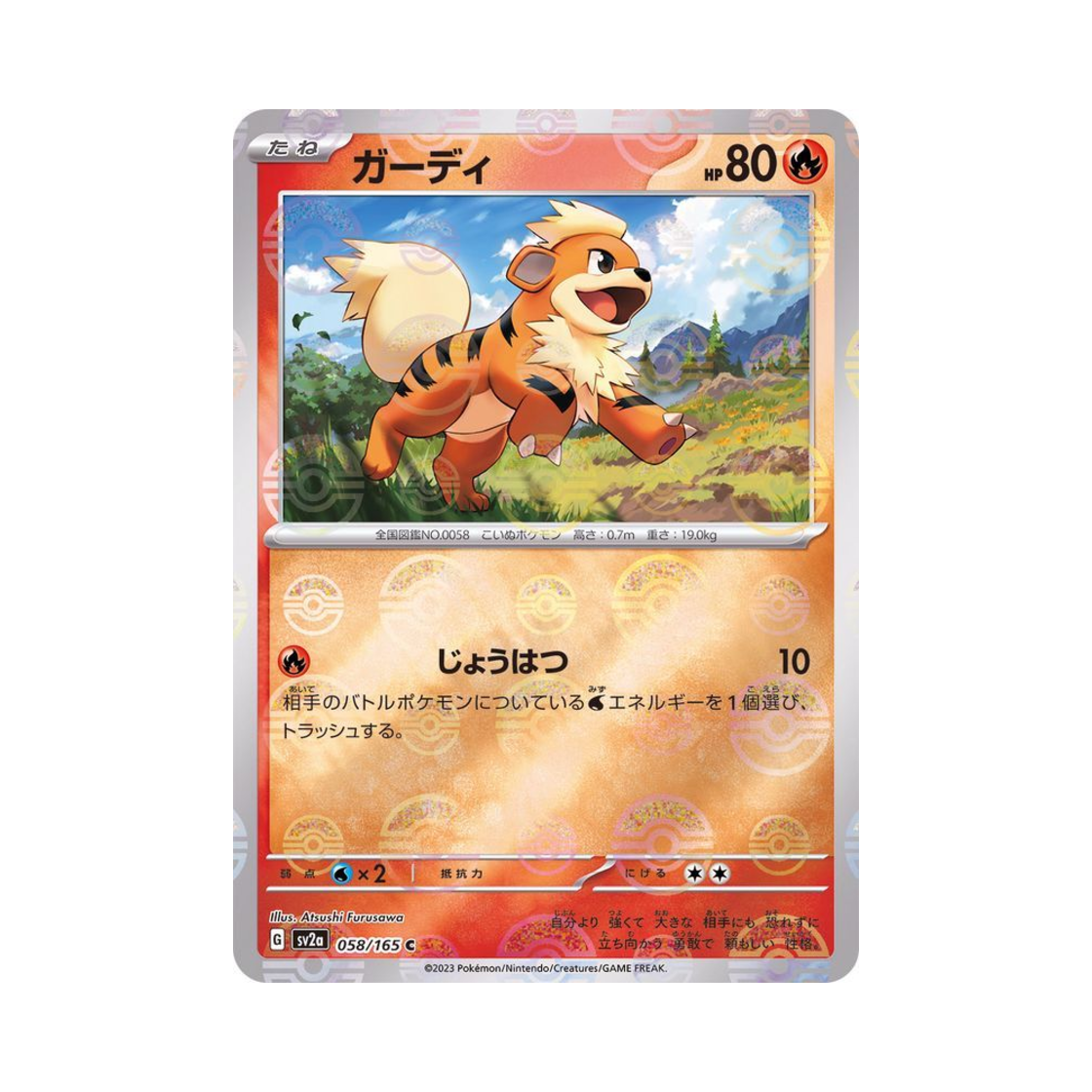 포켓몬 TCG 가디 C 몬스터볼 미러 포켓몬 카드 151 (일어판)(Pokemon TCG Growlithe C Monsterball Mirror Pokemon Card 151 (Japanese Ver.)) - 1
