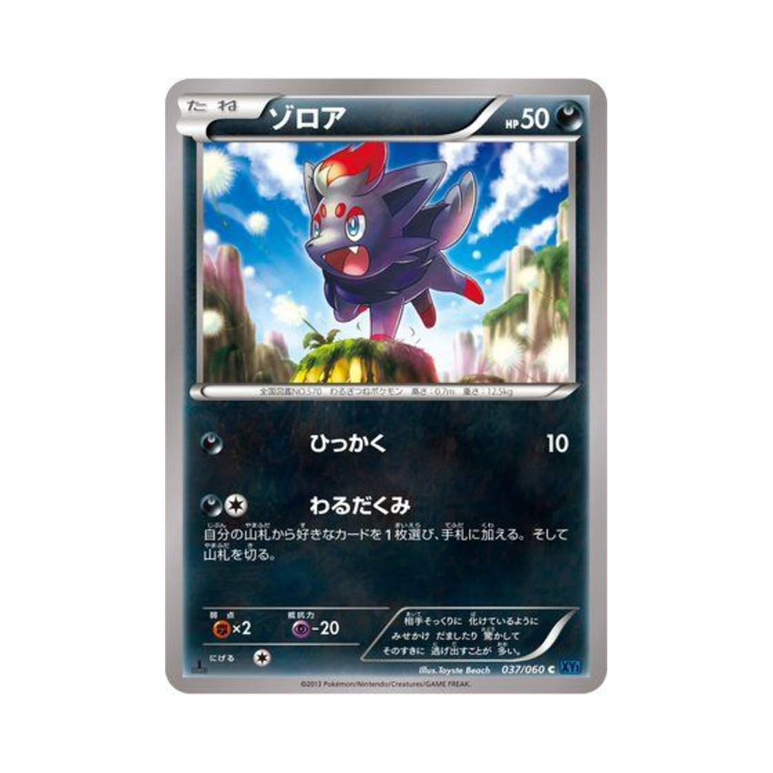 포켓몬 TCG 조로아 C X컬렉션 퍼스트 에디션 (일어판)(Pokemon TCG Zorua C Collection X 1st Edition (Japanese Ver.)) - 1