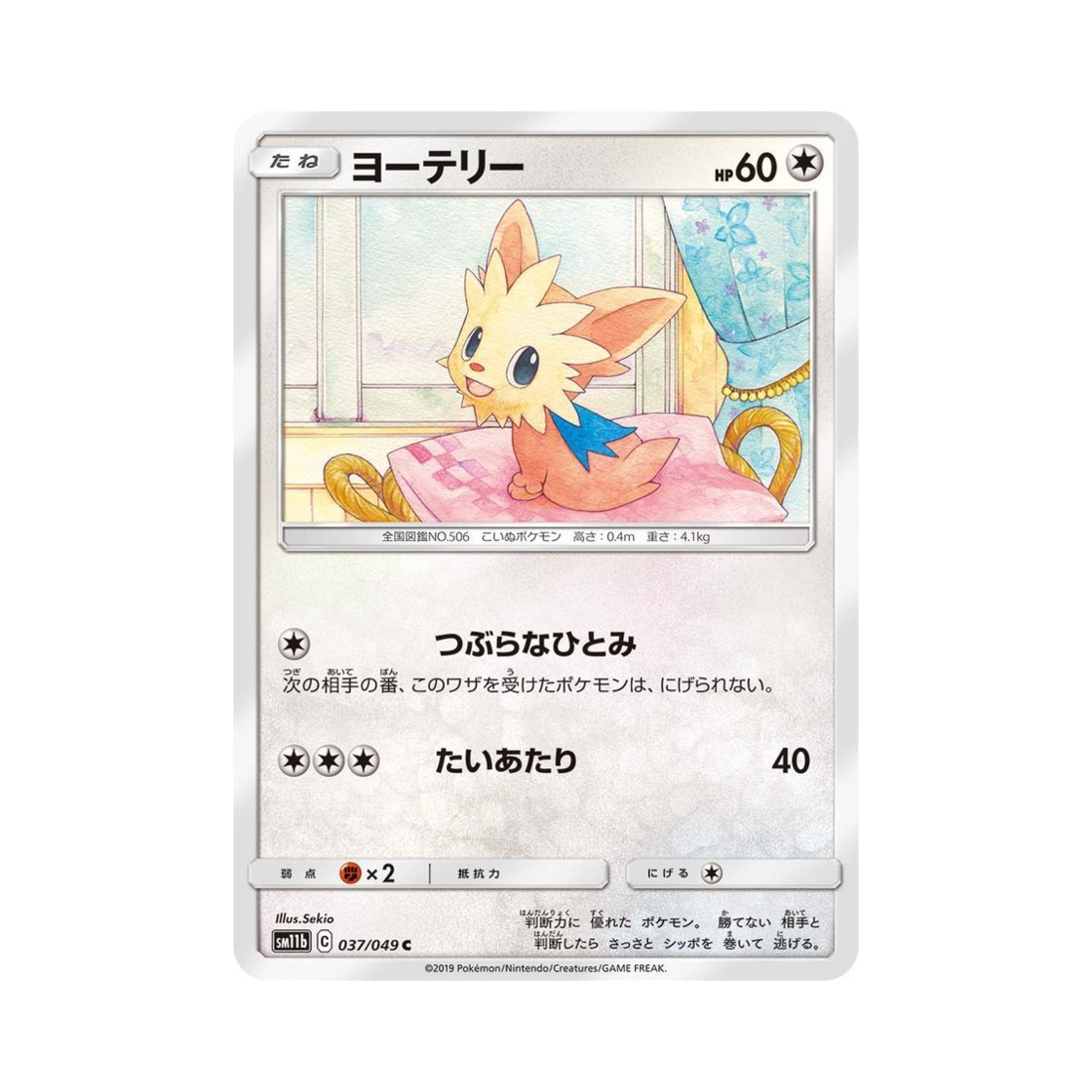 포켓몬 TCG 요테리 C 드림리그 (일어판)(Pokemon TCG Lillipup C Dream League (Japanese Ver.)) - 1