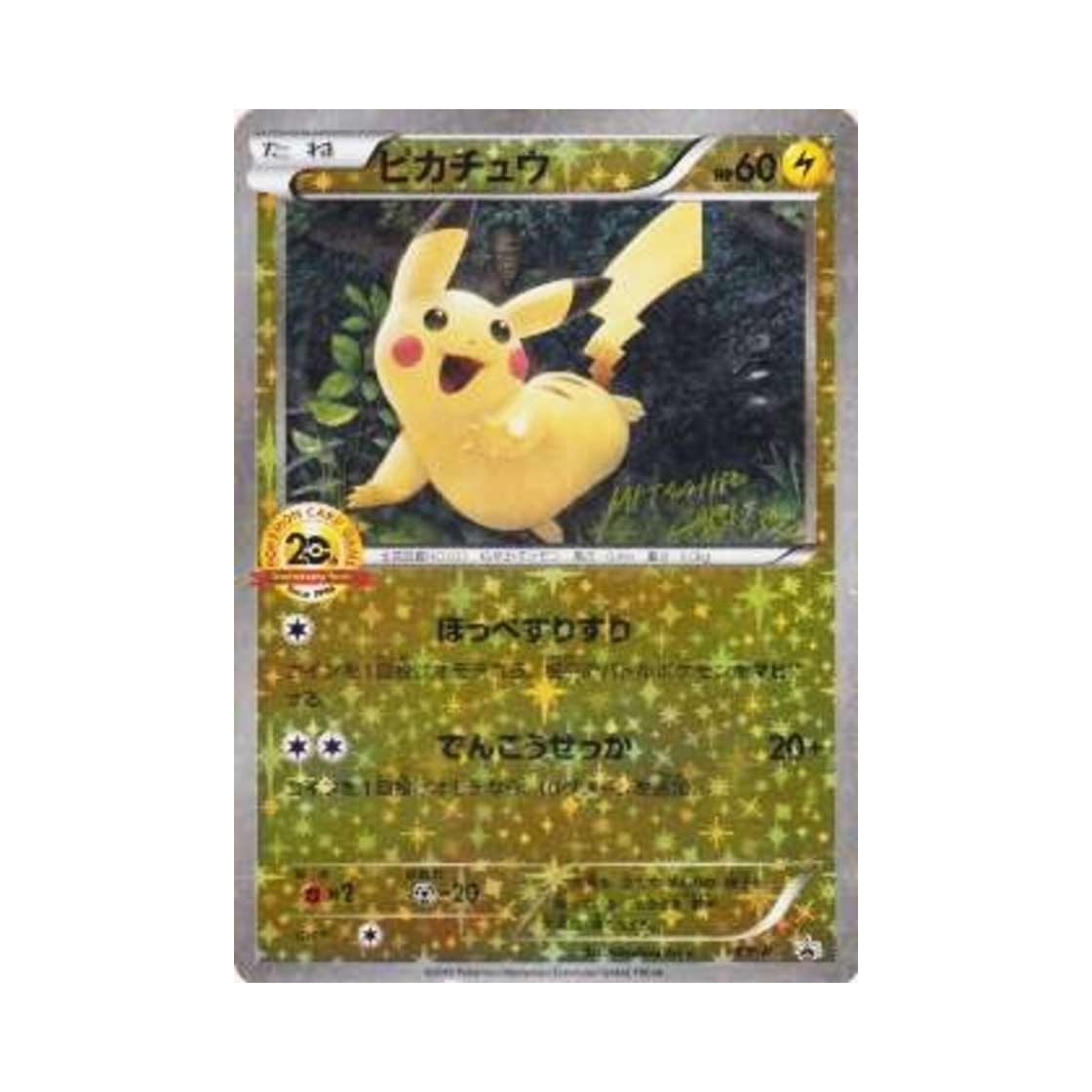 PROMOXY-P Pokemon TCG Pikachu P XY Promos (Japanese Ver.)