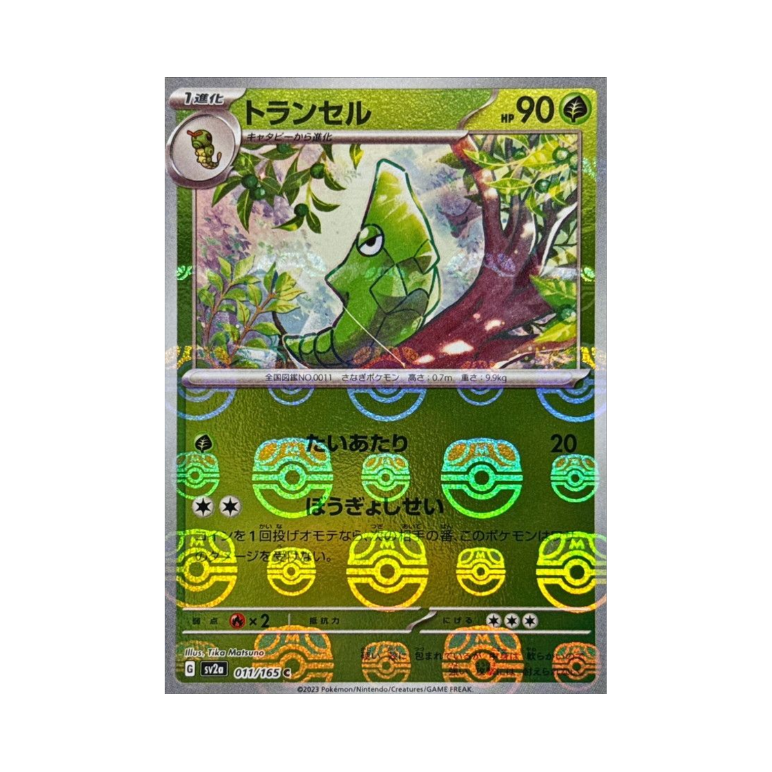 포켓몬 TCG 단데기 C 마스터볼 미러 포켓몬 카드 151 (일어판)(Pokemon TCG Metapod C Masterball Mirror Pokemon Card 151 (Japanese Ver.)) - 1