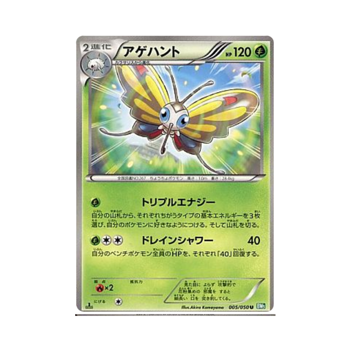 포켓몬 TCG 뷰티플라이 U 드래곤 블라스트 퍼스트 에디션 (일어판)(Pokemon TCG Beautifly U Dragon Blast 1st Edition (Japanese Ver.)) - 1