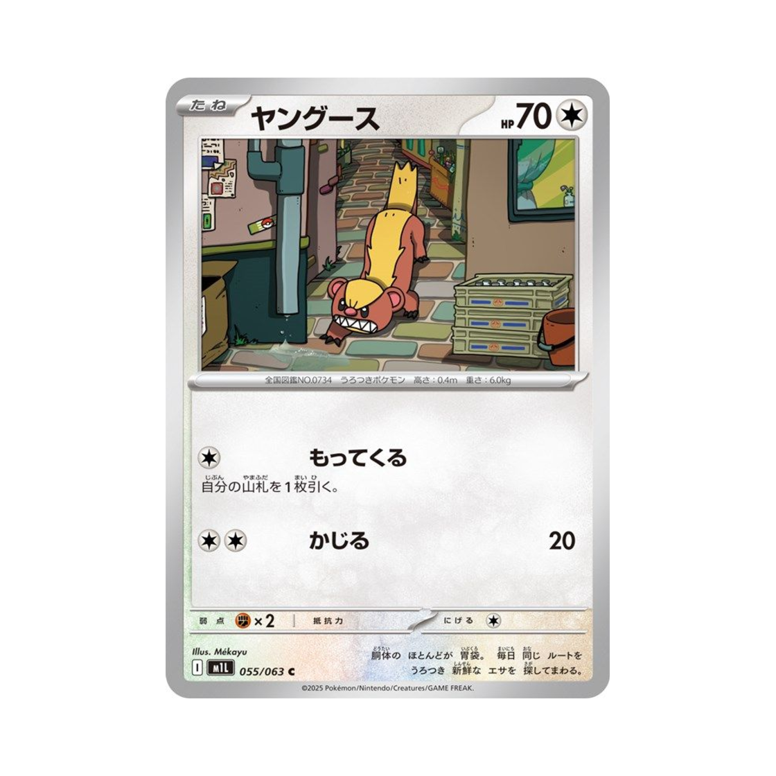 포켓몬 TCG 영구스 C 메가브레이브 (일어판)(Pokemon TCG Yungoos C Mega Brave (Japanese Ver.)) - 1