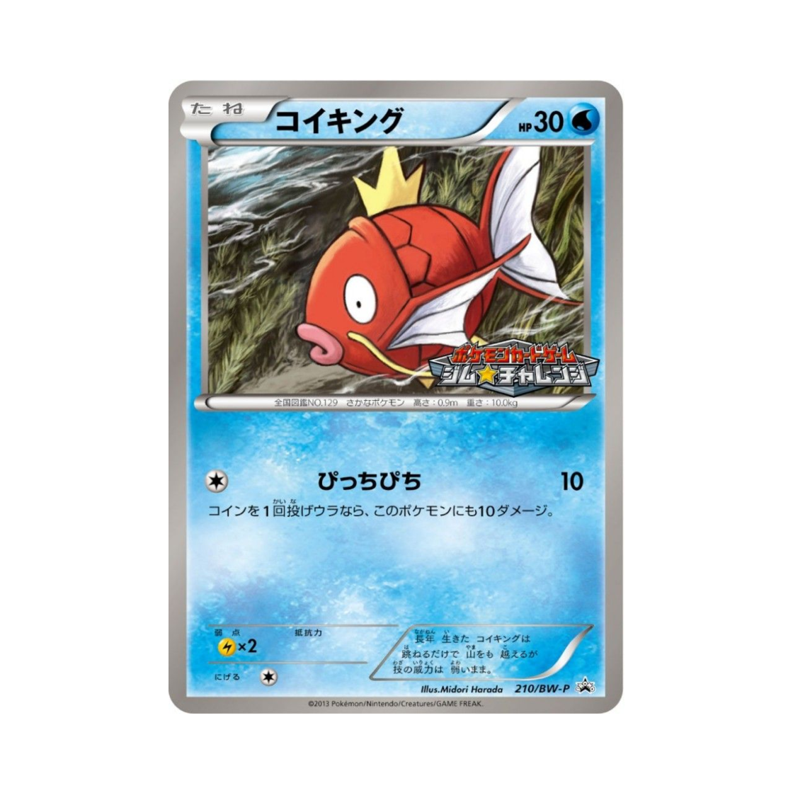 포켓몬 TCG 잉어킹 P 블랙 & 화이트 프로모카드 (일어판)(Pokemon TCG Magikarp P Black & White Promos (Japanese Ver.)) - 1