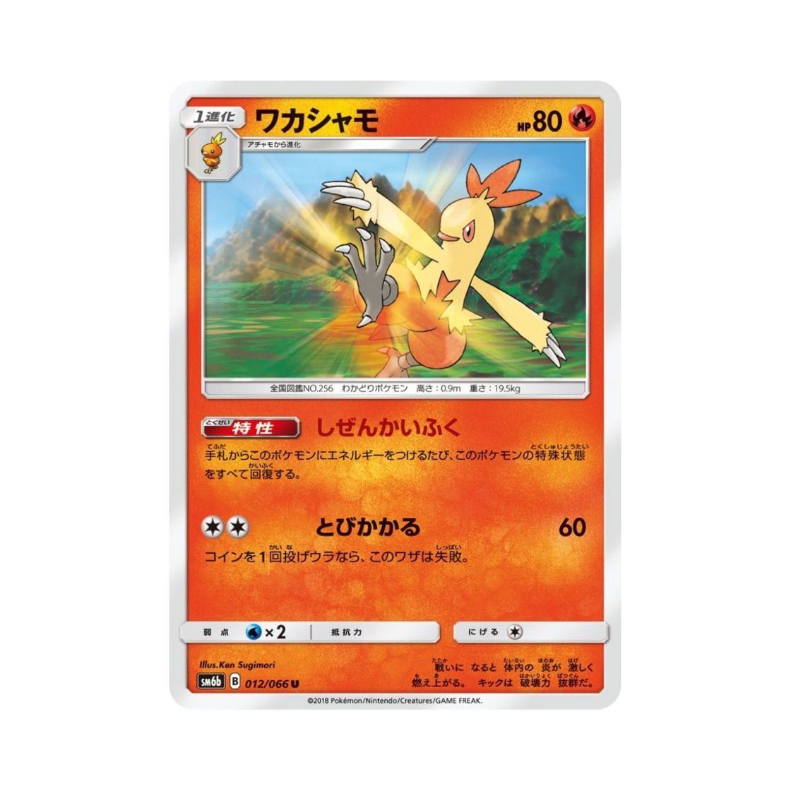포켓몬 TCG 영치코 U 챔피언로드 (일어판)(Pokemon TCG Combusken U Champion Road (Japanese Ver.)) - 1