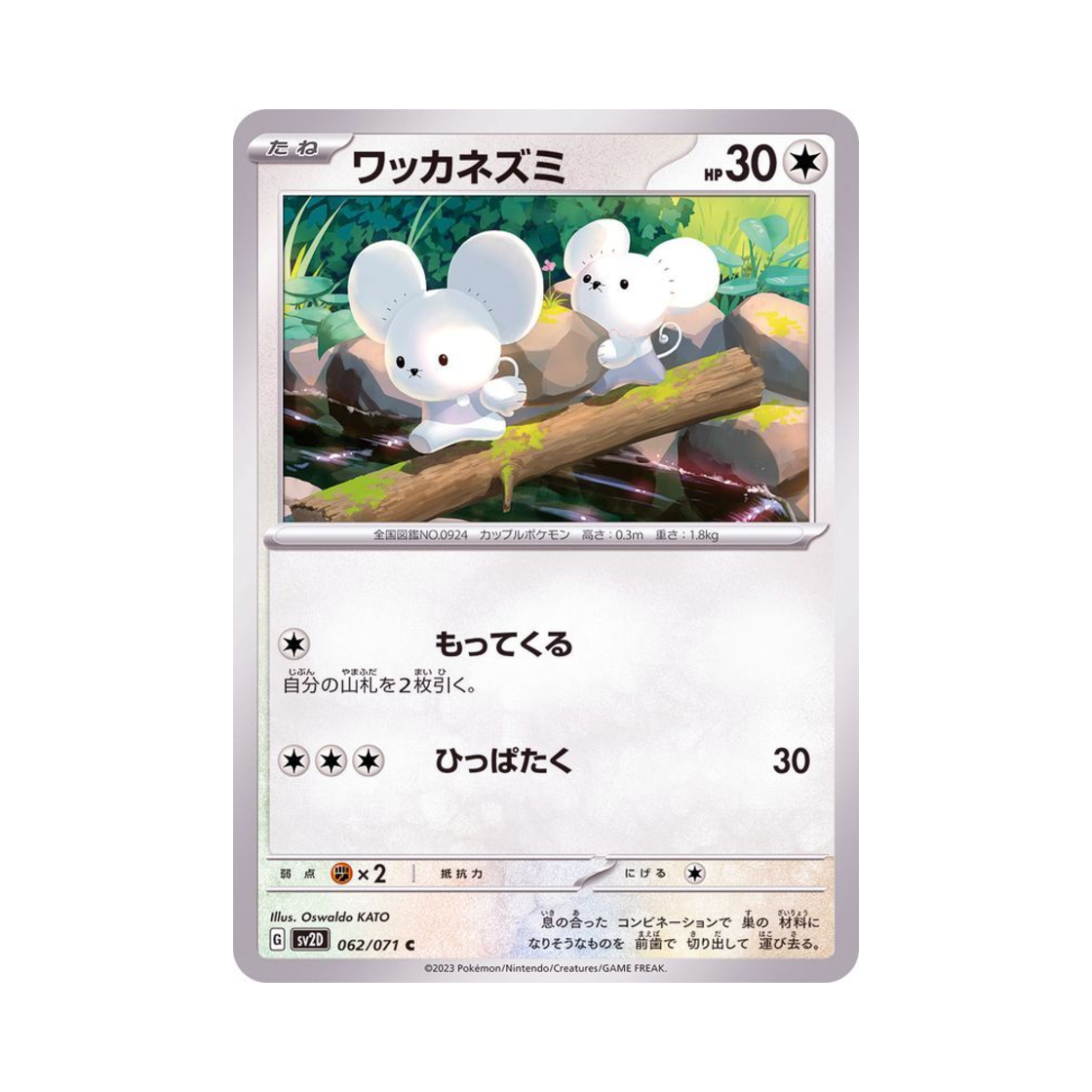 포켓몬 TCG 두리쥐 C 클레이 버스트 (일어판)(Pokemon TCG Tandemaus C Clay Burst (Japanese Ver.)) - 1