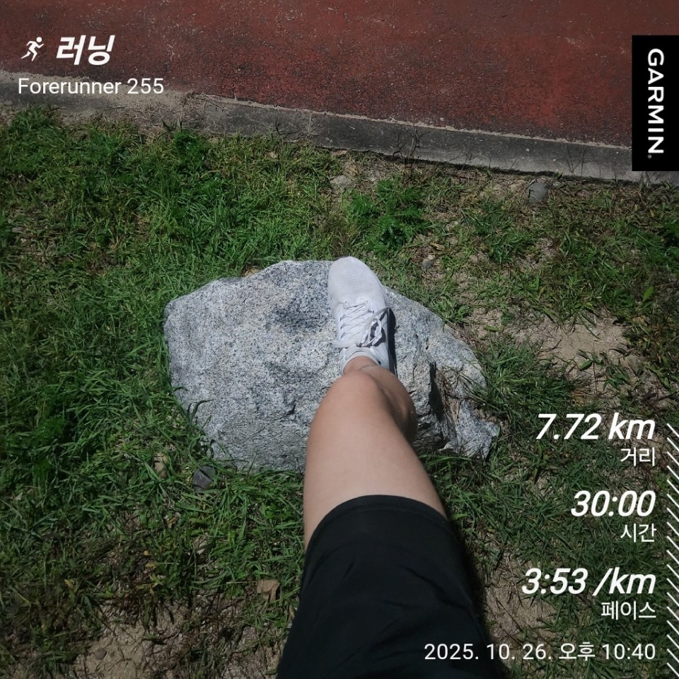 Nike Air Zoom Pegasus 39 White Grey Fog 착용 스타일