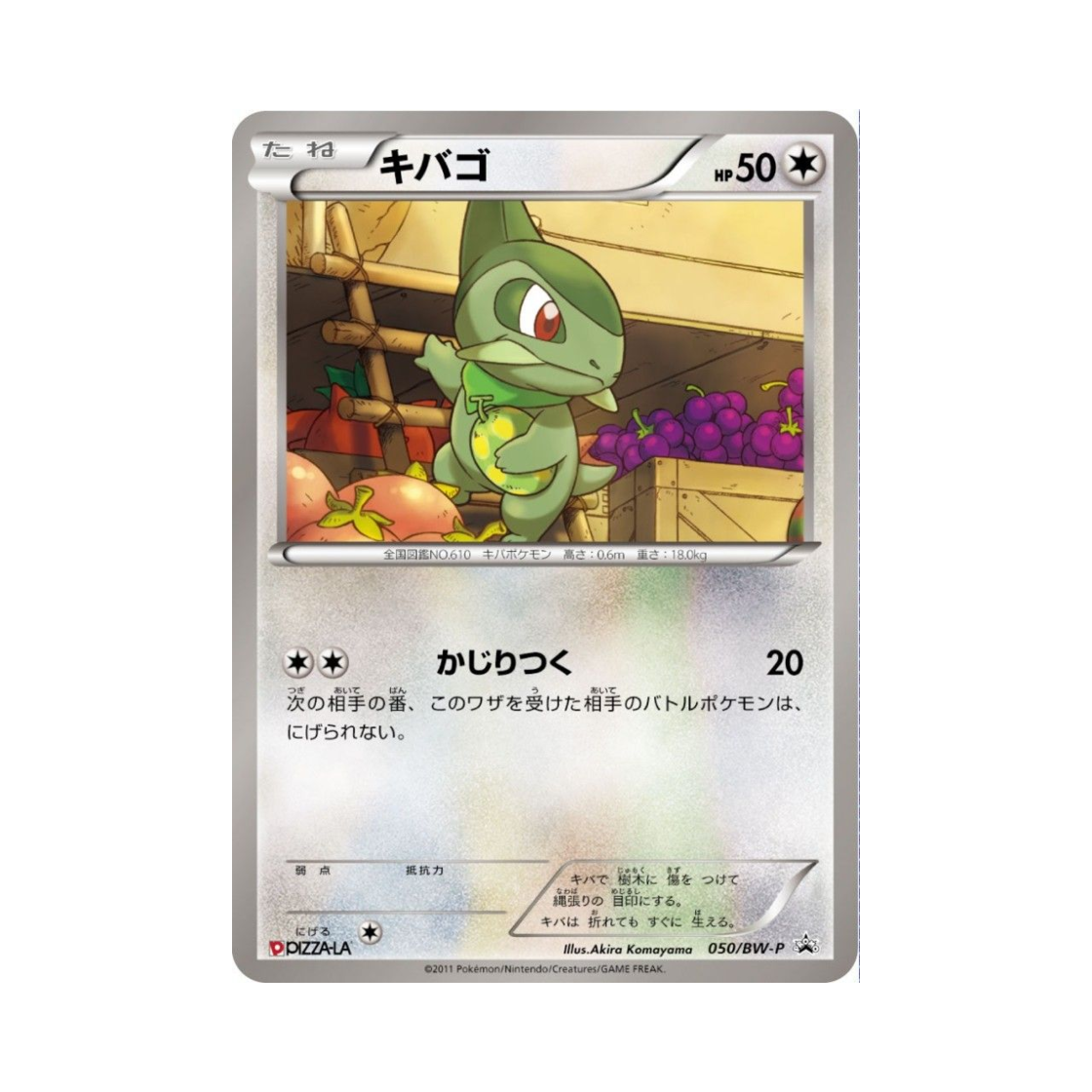 포켓몬 TCG 터검니 P 블랙 & 화이트 프로모카드 (일어판)(Pokemon TCG Axew P Black & White Promos (Japanese Ver.))