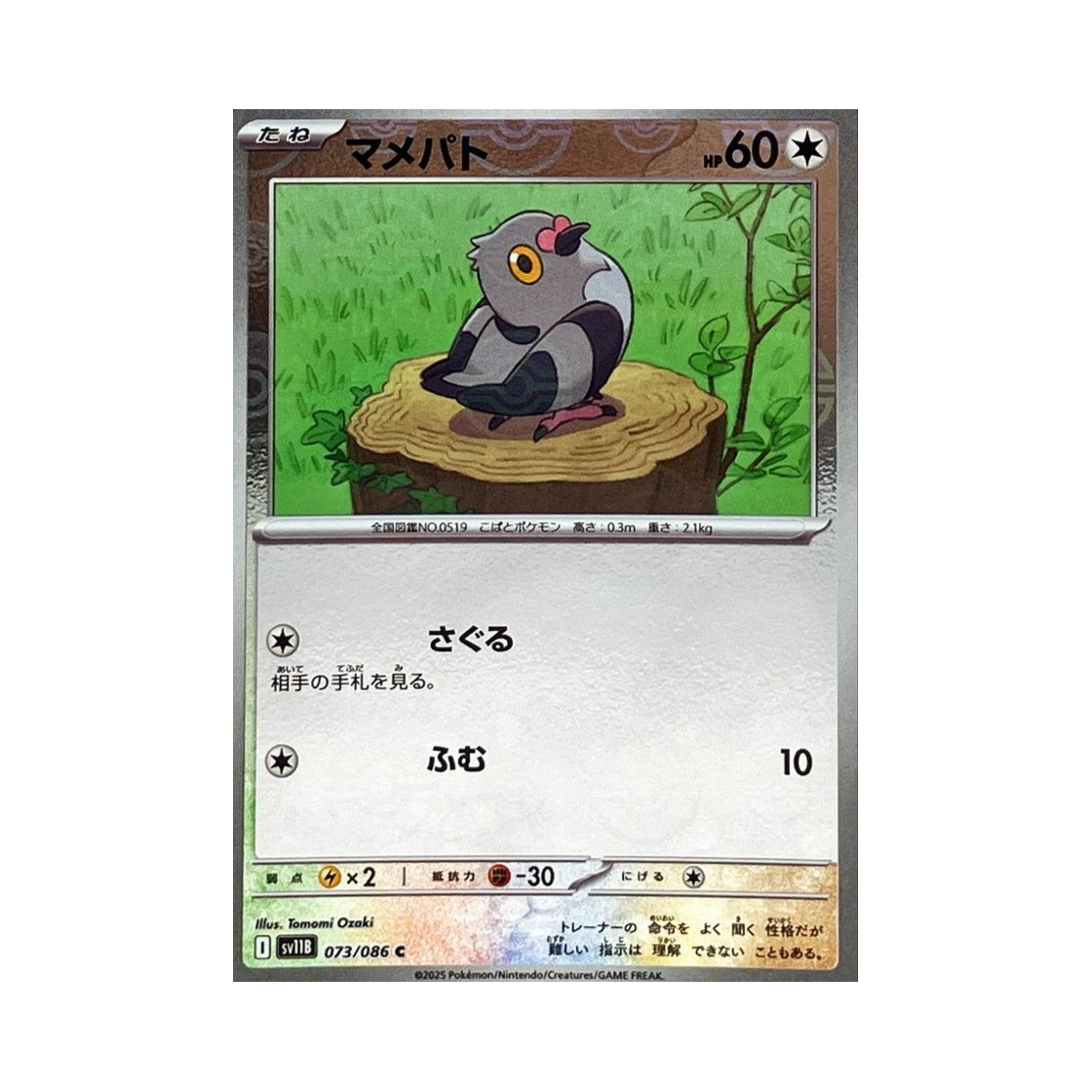 포켓몬 TCG 콩둘기 C 몬스터볼 미러 블랙 볼트 (일어판)(Pokemon TCG Pidove C Monsterball Mirror Black Bolt (Japanese Ver.)) - 1