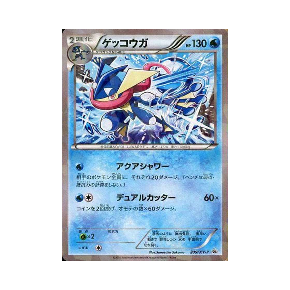 PROMO209-XY-P Pokemon TCG Greninja P XY Promos (Japanese Ver.)