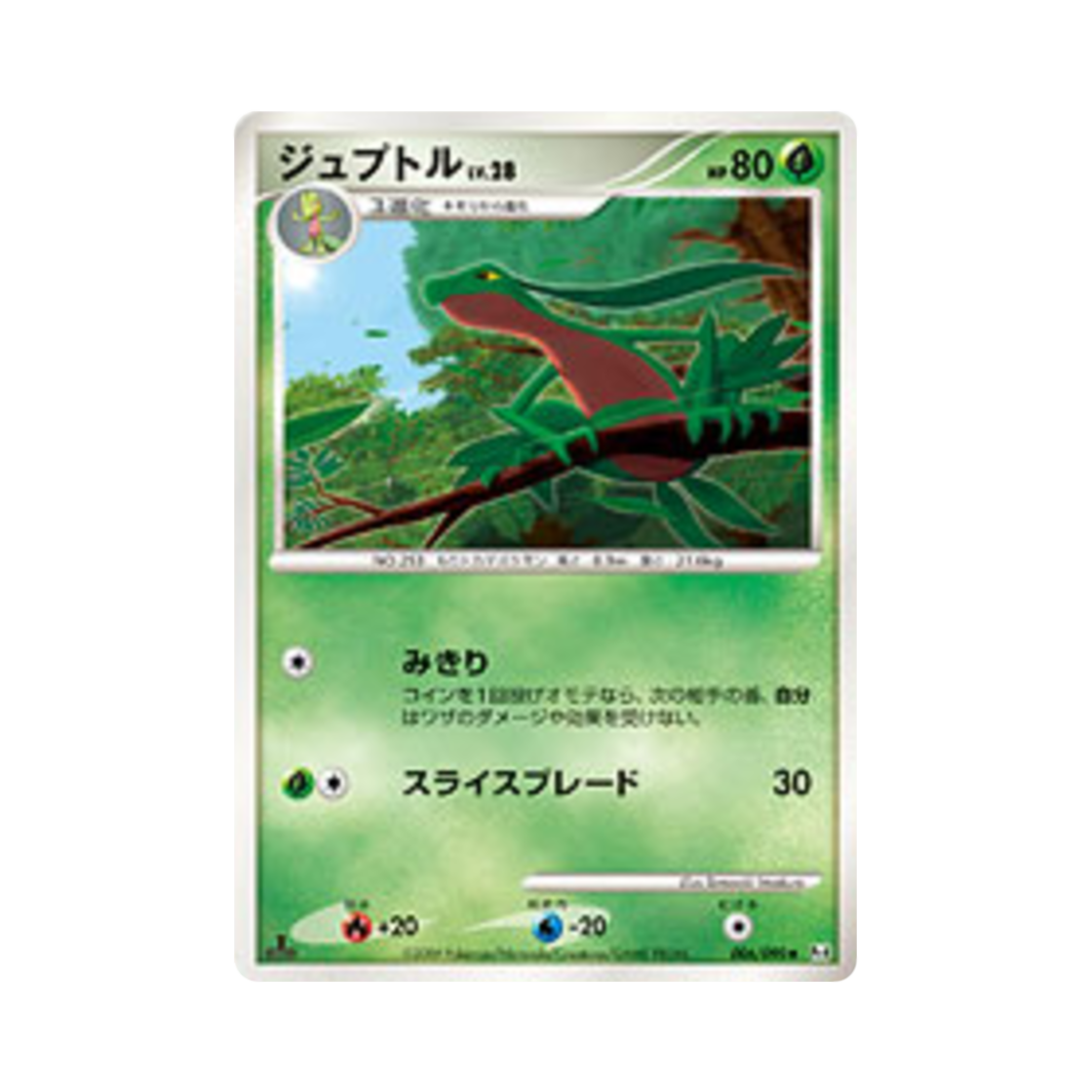 포켓몬 TCG 나무돌이 U 어드벤트 오브 아르세우스 (일어판)(Pokemon TCG Grovyle U Advent Of Arceus (Japanese Ver.)) - 1