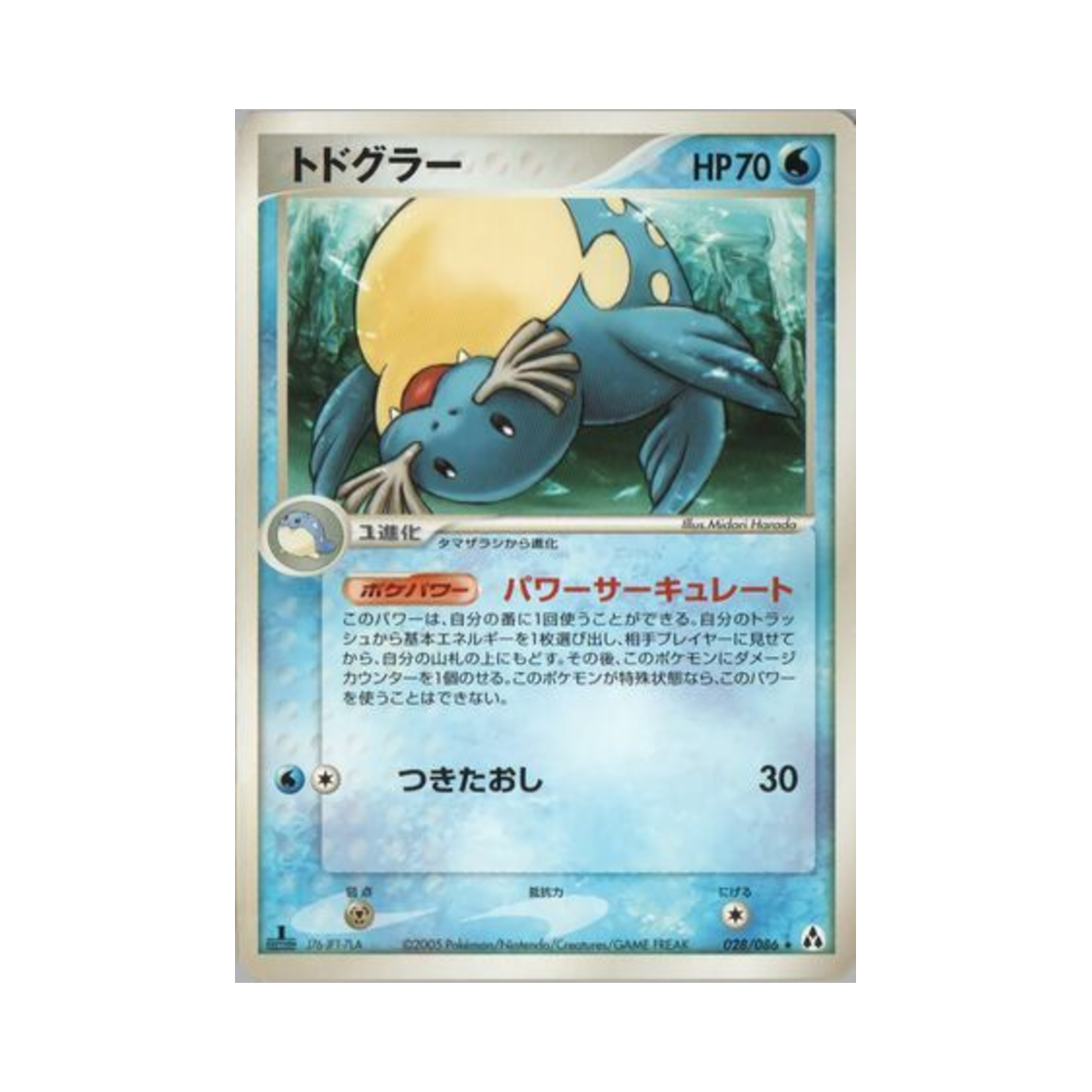 포켓몬 TCG 씨레오 R 미라지 포레스트 (일어판)(Pokemon TCG Sealeo R Mirage Forest (Japanese Ver.)) - 1