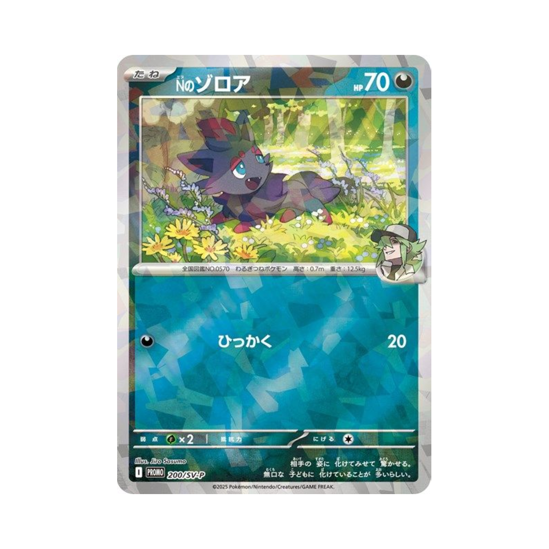 포켓몬 TCG Ｎ의 조로아 P 스칼렛&바이올렛 프로모 카드 (일어판)(Pokemon TCG Ｎ's Zorua P Scarlet & Violet Promos (Japanese Ver.)) - 1