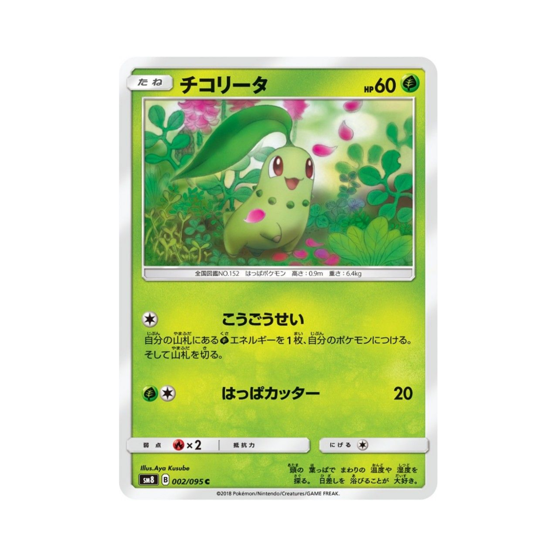 포켓몬 TCG 치코리타 C 버스트임팩트 (일어판)(Pokemon TCG Chikorita C Explosive Impact (Japanese Ver.)) - 1