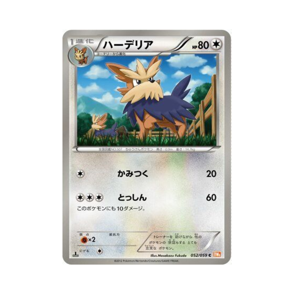 포켓몬 TCG 하데리어 C 콜드플레어 (일어판)(Pokemon TCG Herdier C Cold Flare (Japanese Ver.)) - 1