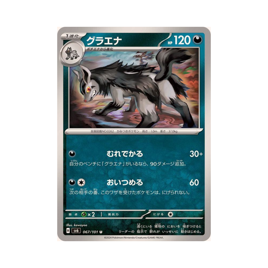 포켓몬 TCG 그라에나 U 변환의 가면 (일어판)(Pokemon TCG Mightyena U Mask Of Change (Japanese Ver.)) - 1
